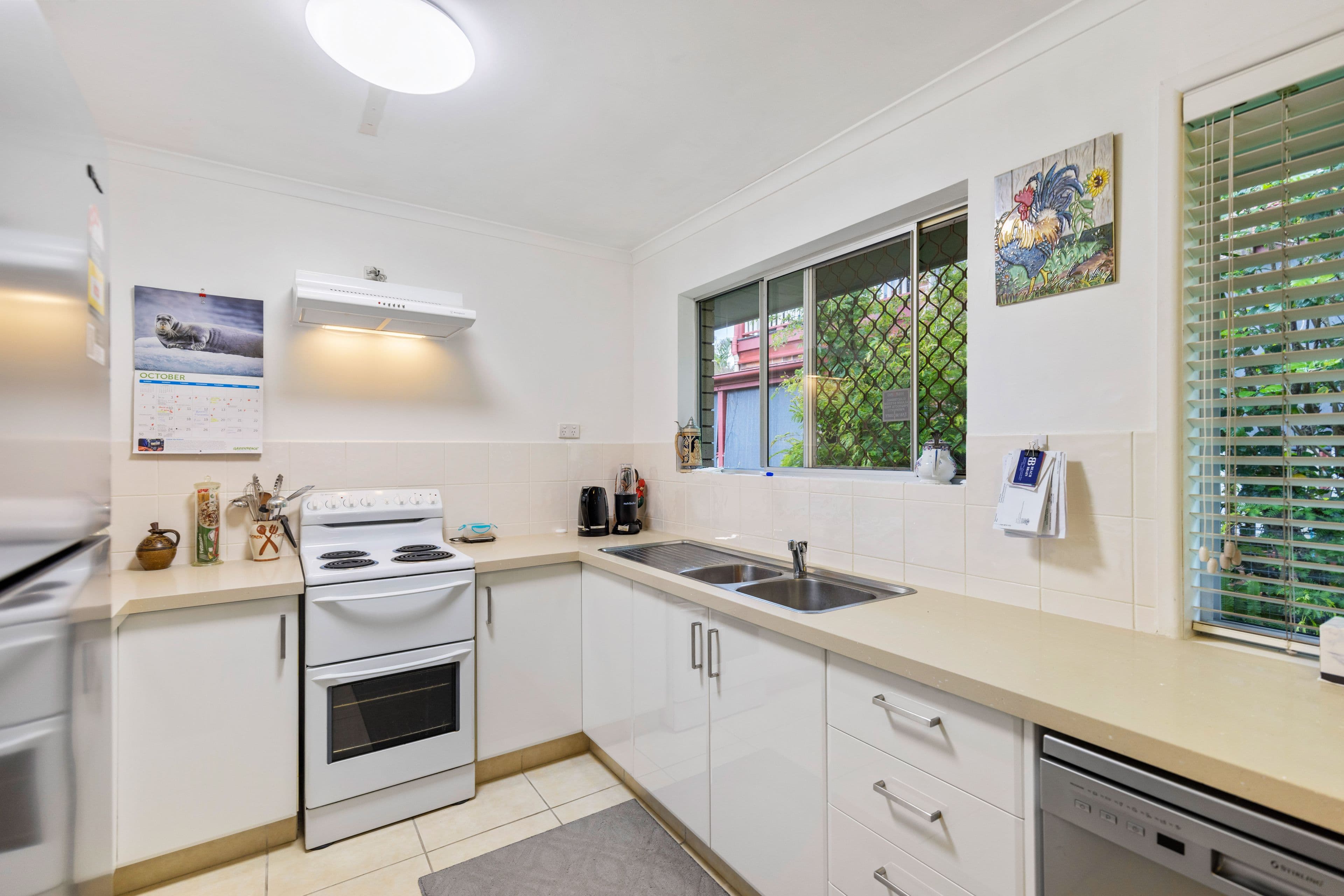 19 Minti Street, Maroochydore QLD 4558, Maroochydore - Thumbnail 3