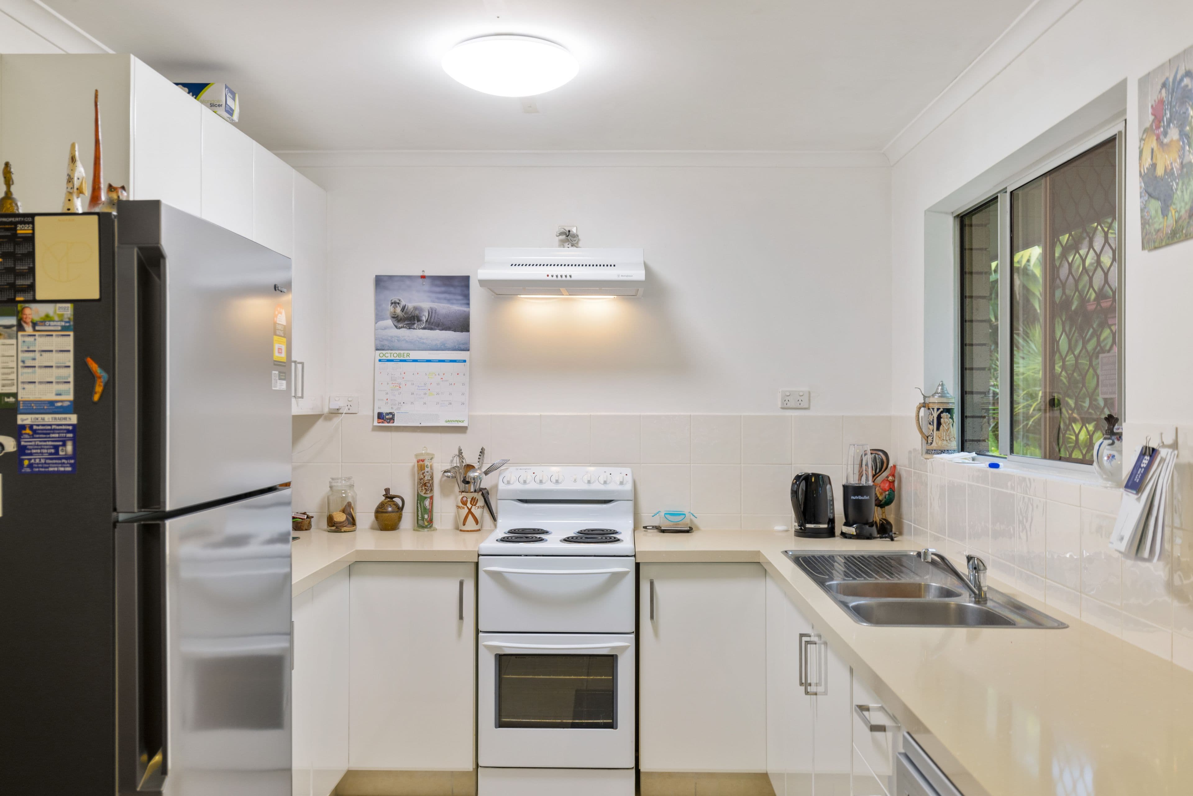 19 Minti Street, Maroochydore QLD 4558, Maroochydore - Thumbnail 4