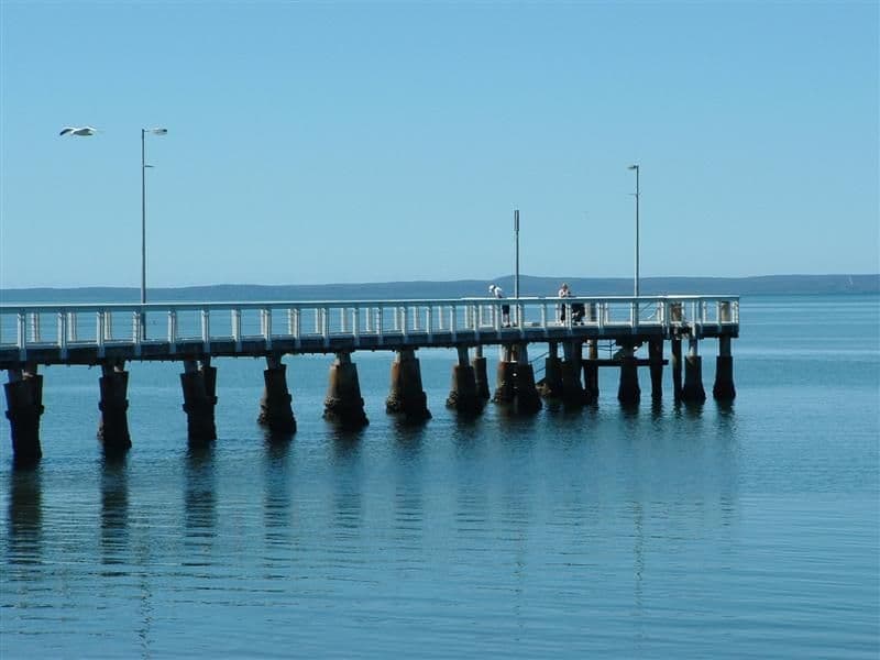 24 Curtis Road, Chester Hill, NSW, 2162, Chester Hill - Thumbnail 4