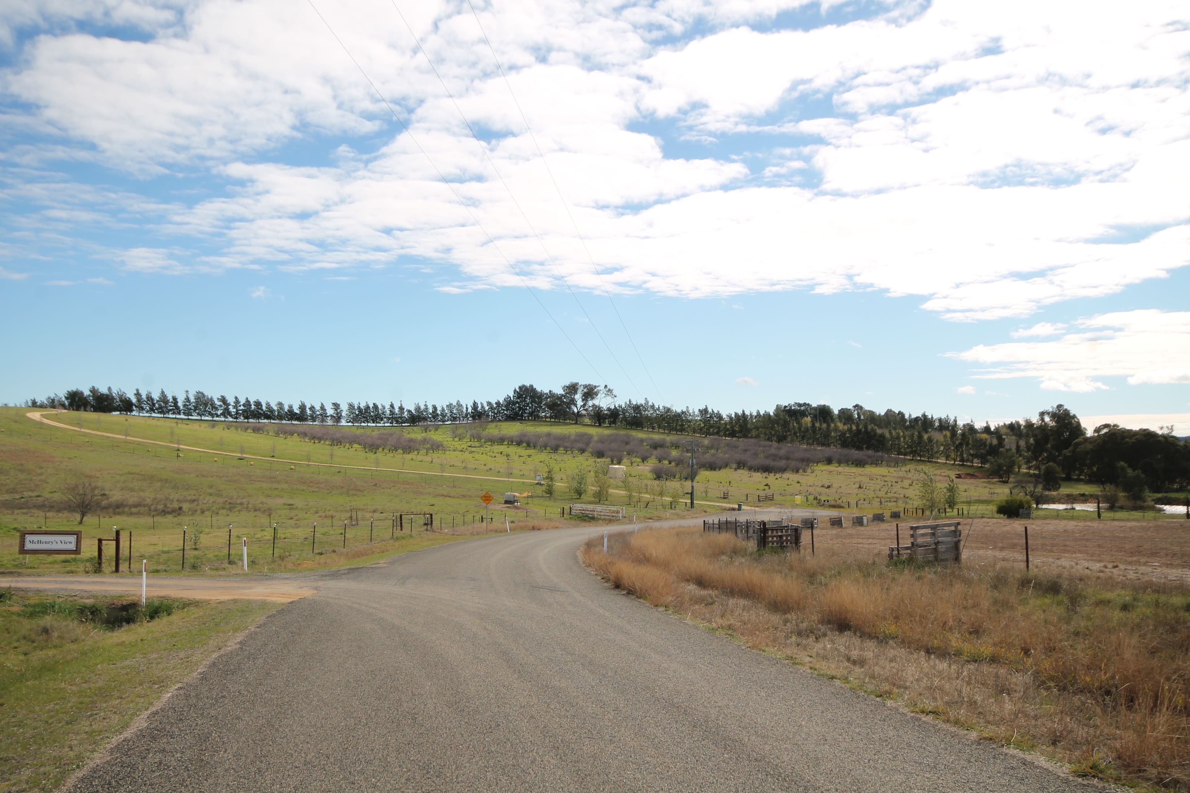 65 Cherry Vale Place, Young NSW 2594, Young - Image 1