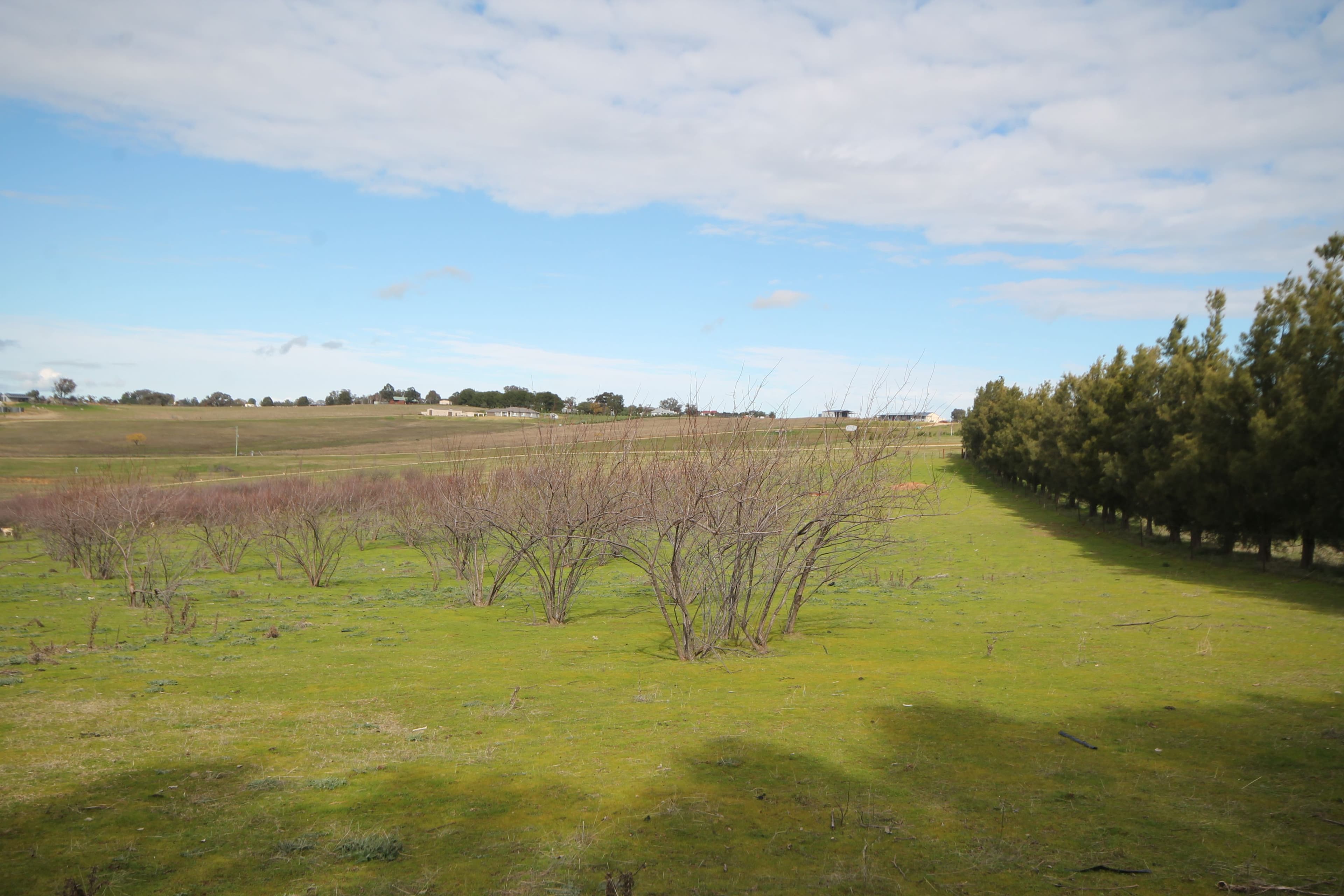 65 Cherry Vale Place, Young NSW 2594, Young - Thumbnail 6