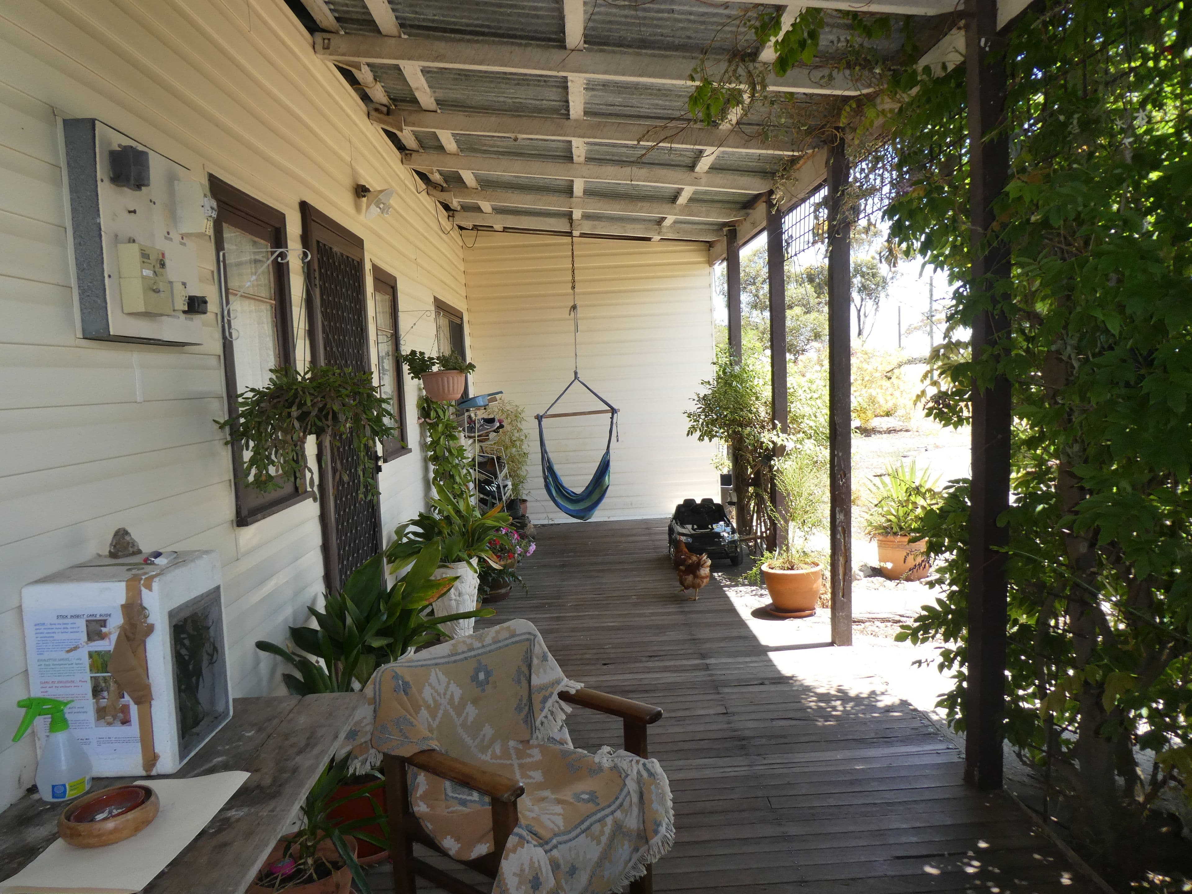 25 Grenfell Street, Cranbrook WA 6321, Cranbrook - Thumbnail 2