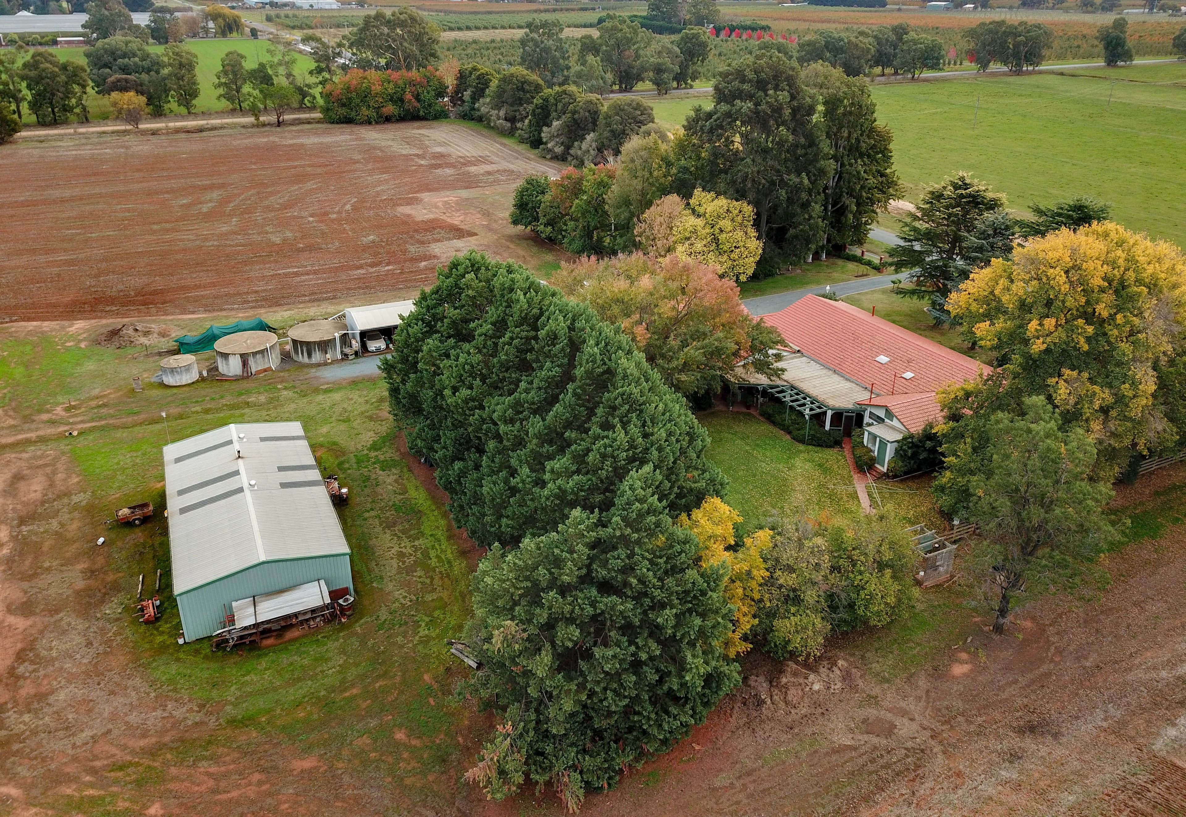 415 Simson Road, Ardmona VIC 3629, Ardmona - Thumbnail 3