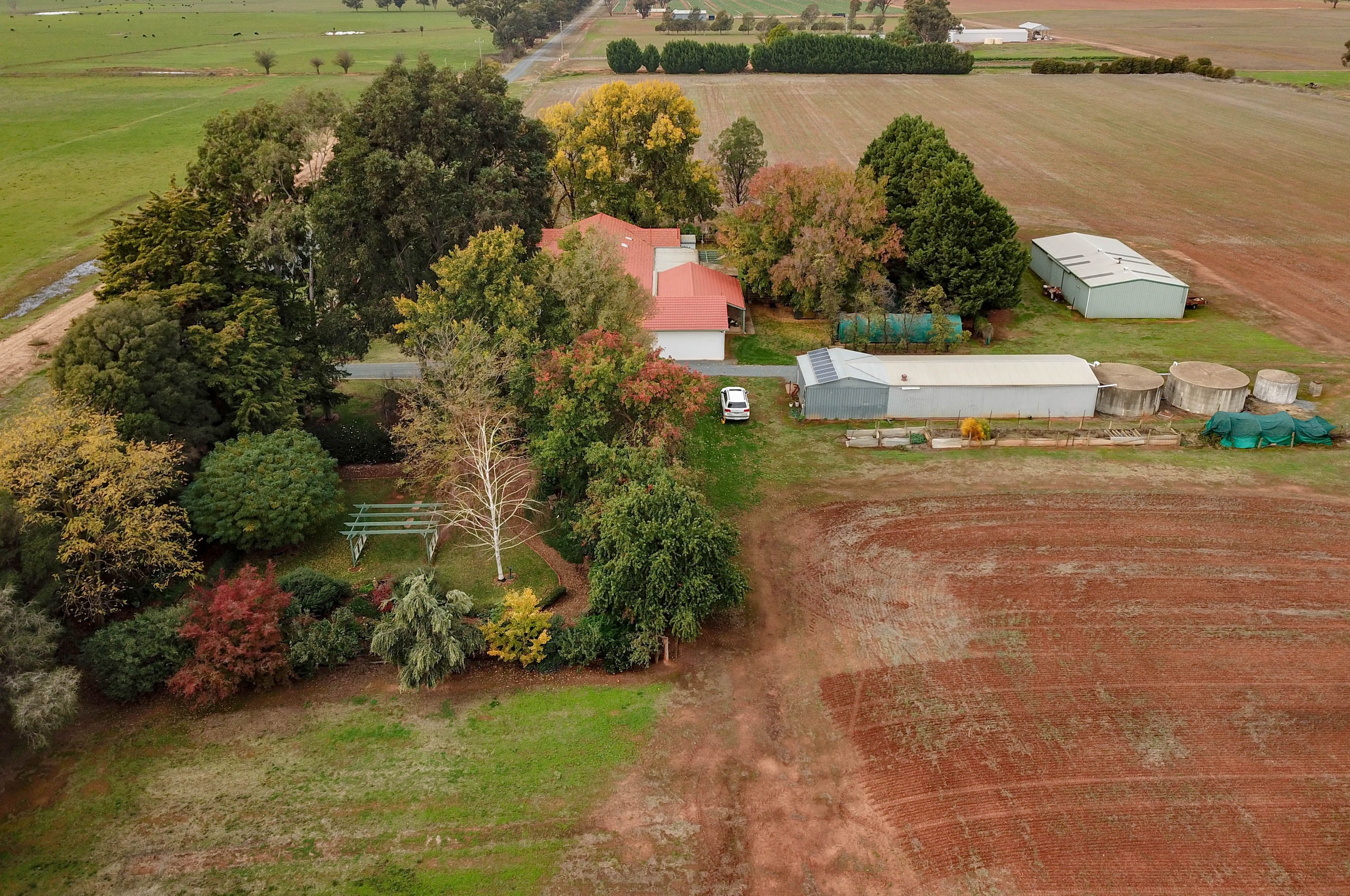 415 Simson Road, Ardmona VIC 3629, Ardmona - Thumbnail 5