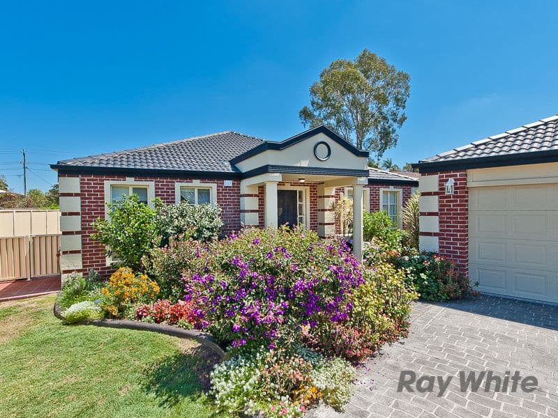 17 Rufus Court, Albany Creek QLD 4035, Albany Creek - Thumbnail 4