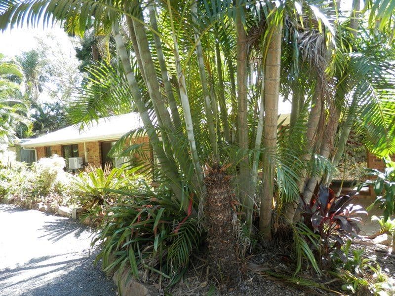 10 Islandview Street, BARELLAN POINT QLD 4306, Barellan Point - Thumbnail 6