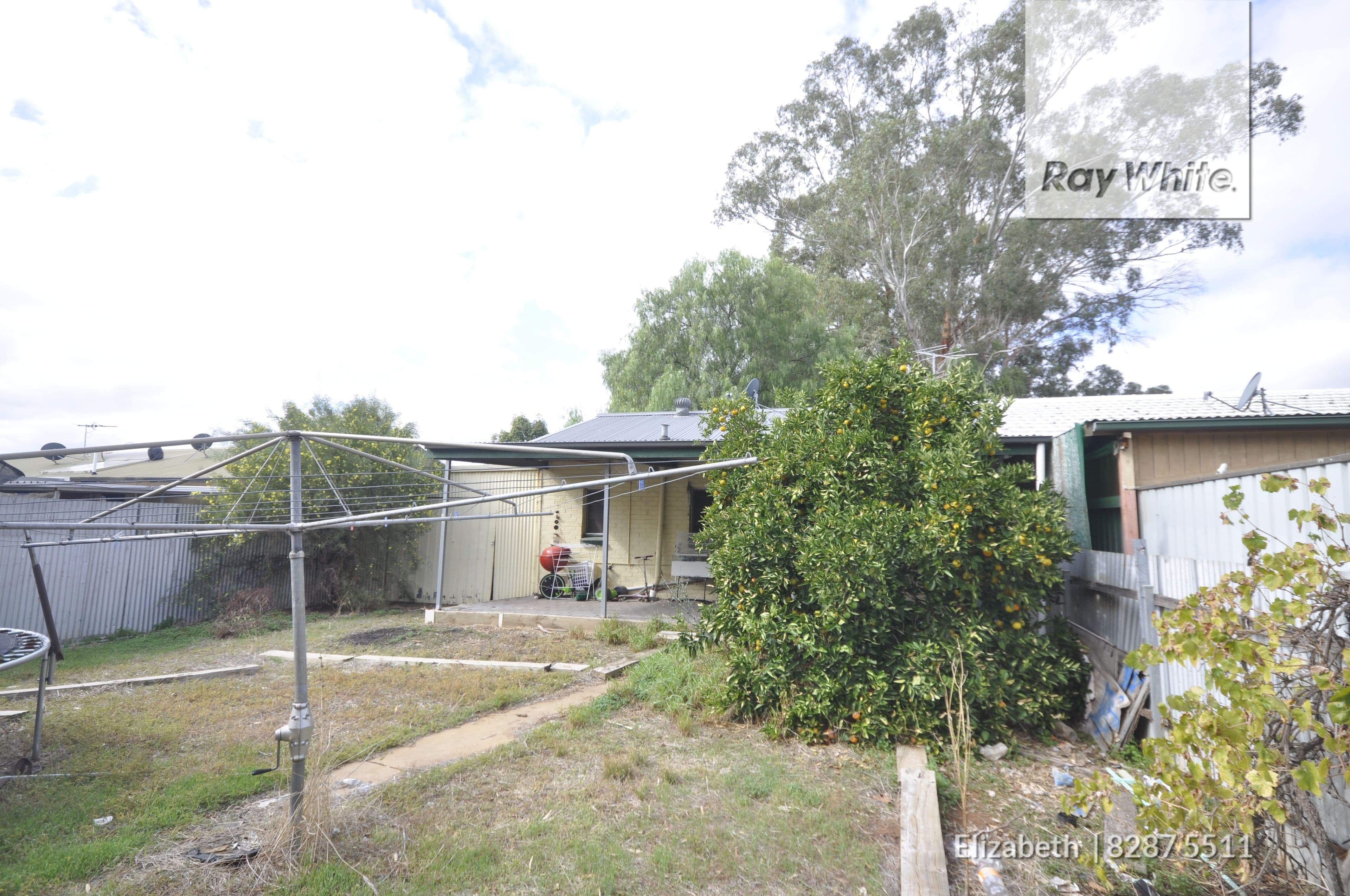 64 Willison Road, Elizabeth South SA 5112, Elizabeth South - Thumbnail 3