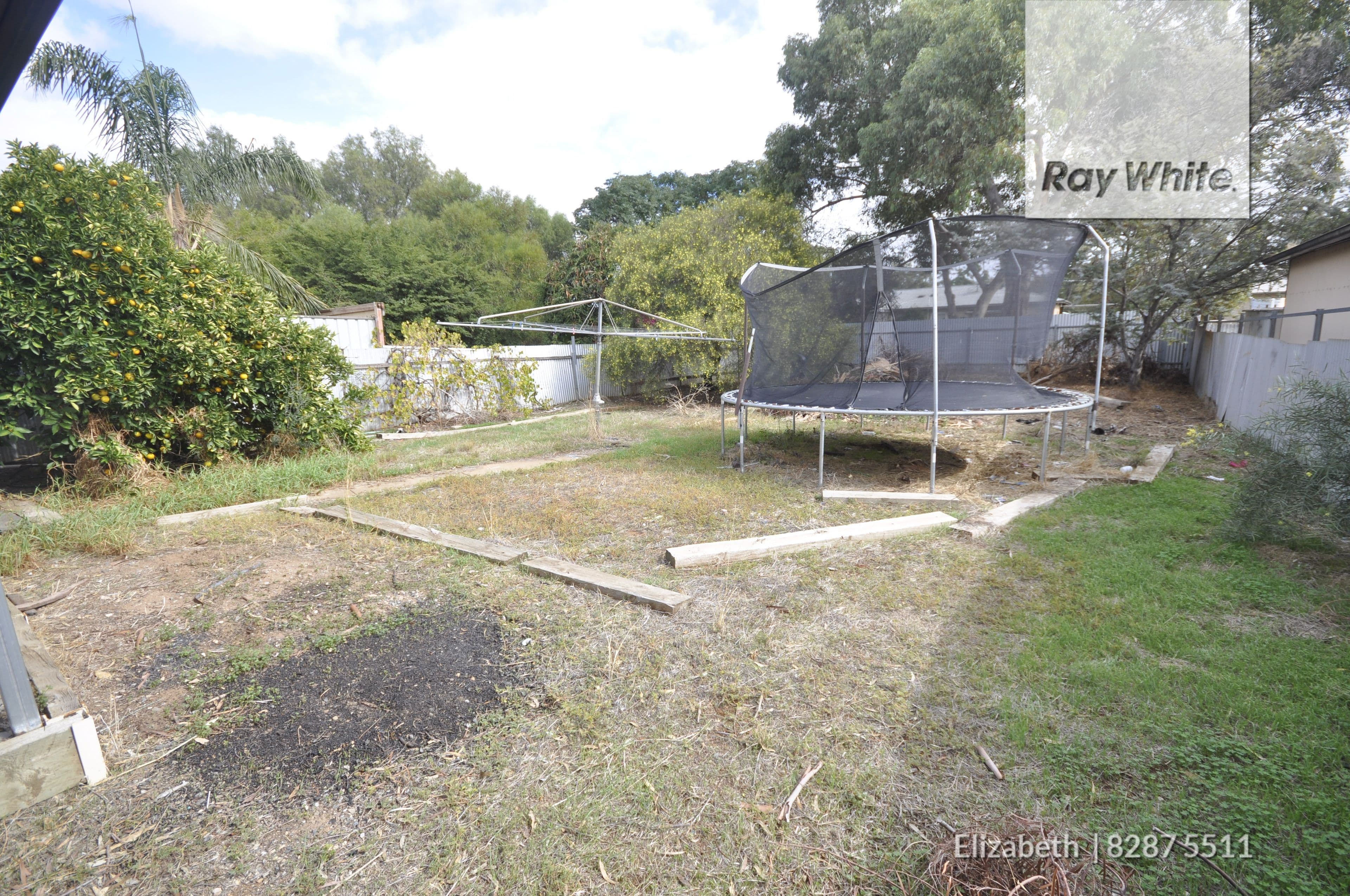64 Willison Road, Elizabeth South SA 5112, Elizabeth South - Thumbnail 4
