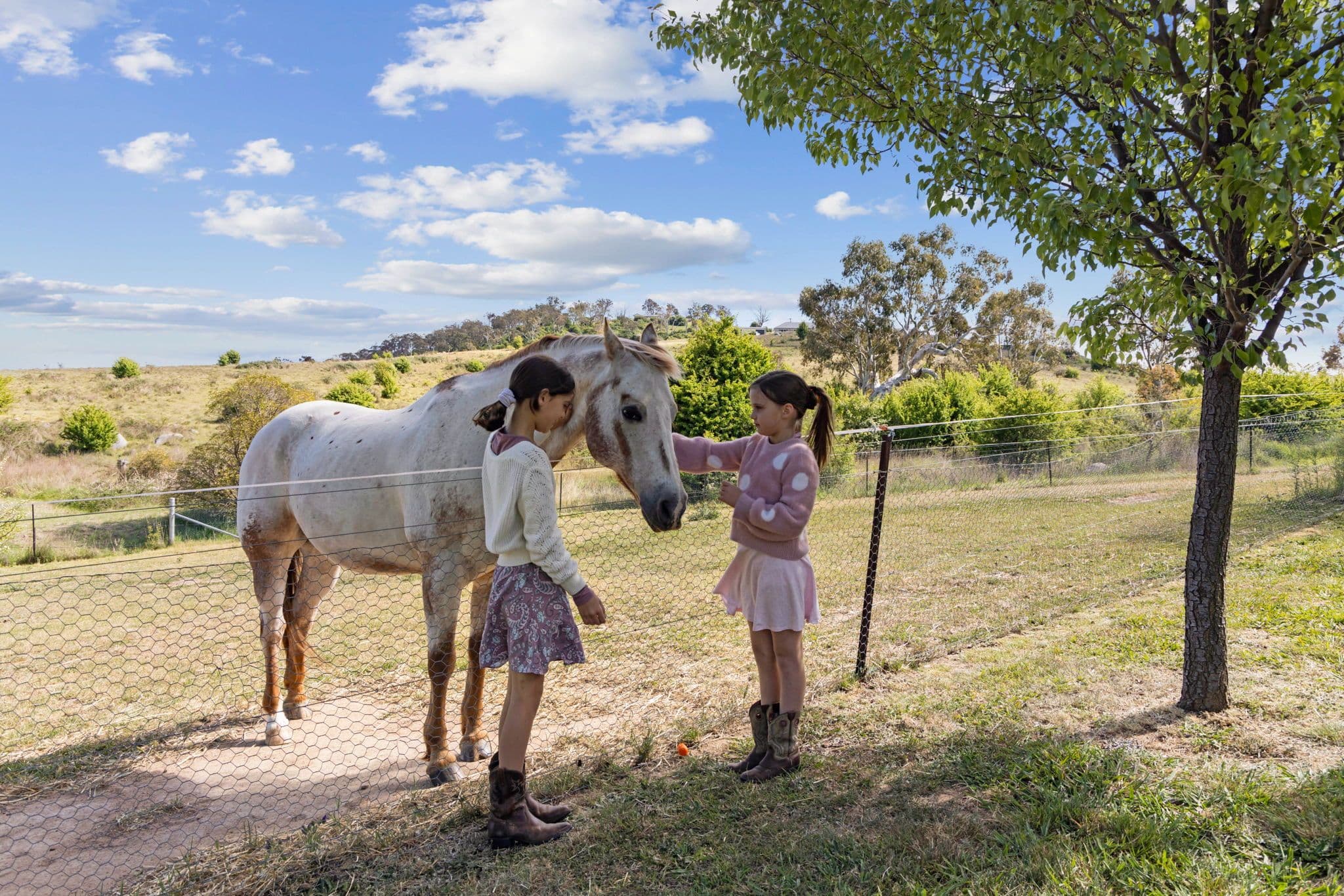 11 Yass Street, Gunning NSW 2581, Gunning - Thumbnail 4