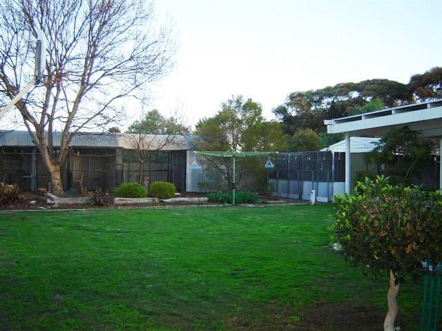 24 Todd Avenue, MURRAY BRIDGE SA 5253, Murray Bridge - Thumbnail 5
