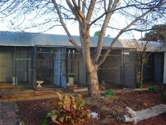 24 Todd Avenue, MURRAY BRIDGE SA 5253, Murray Bridge - Thumbnail 7