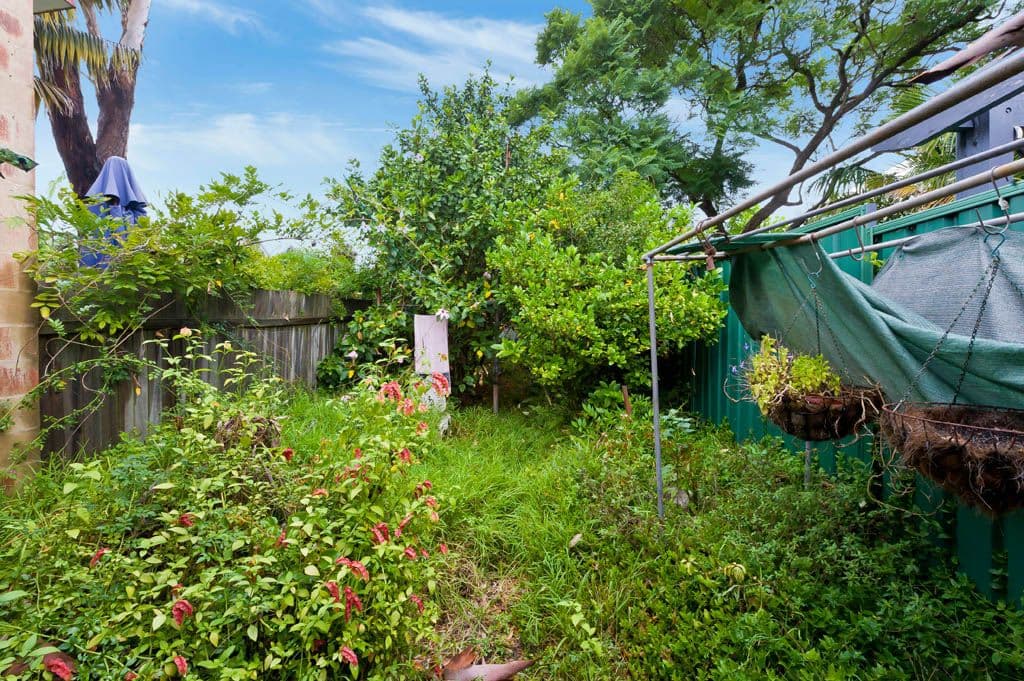 124 Moore Street, Leichhardt - Thumbnail 6