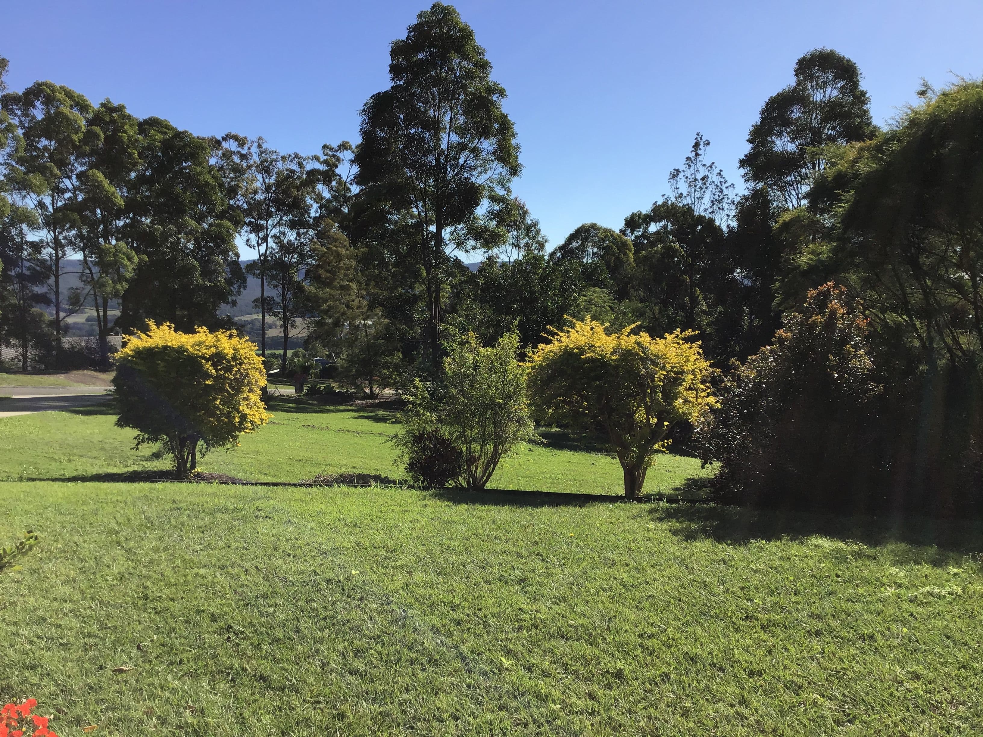 15 Honeydew Place, Ninderry QLD 4561, Ninderry - Thumbnail 3