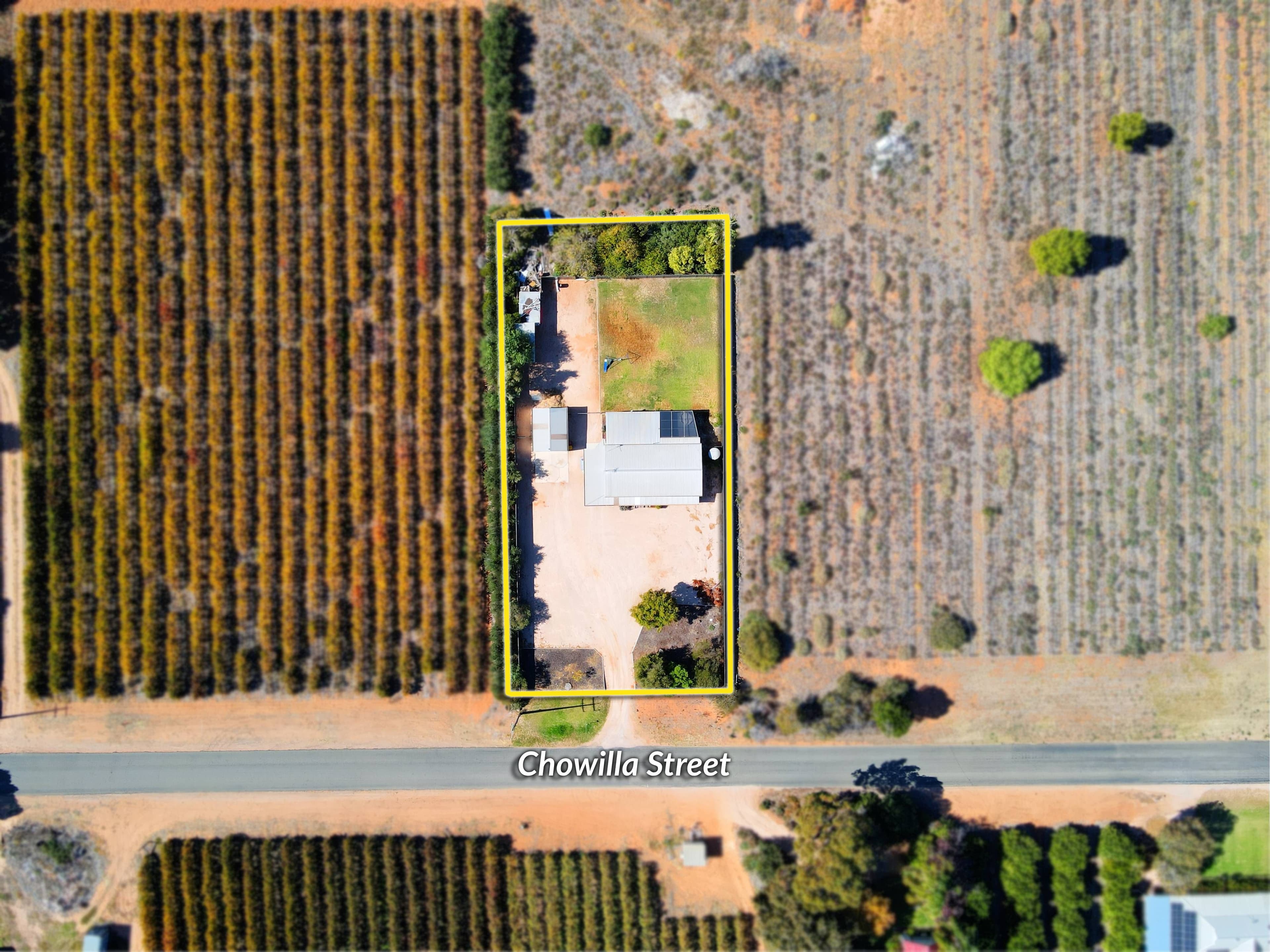 479 Chowilla Street, Renmark SA 5341, Renmark West - Thumbnail 2