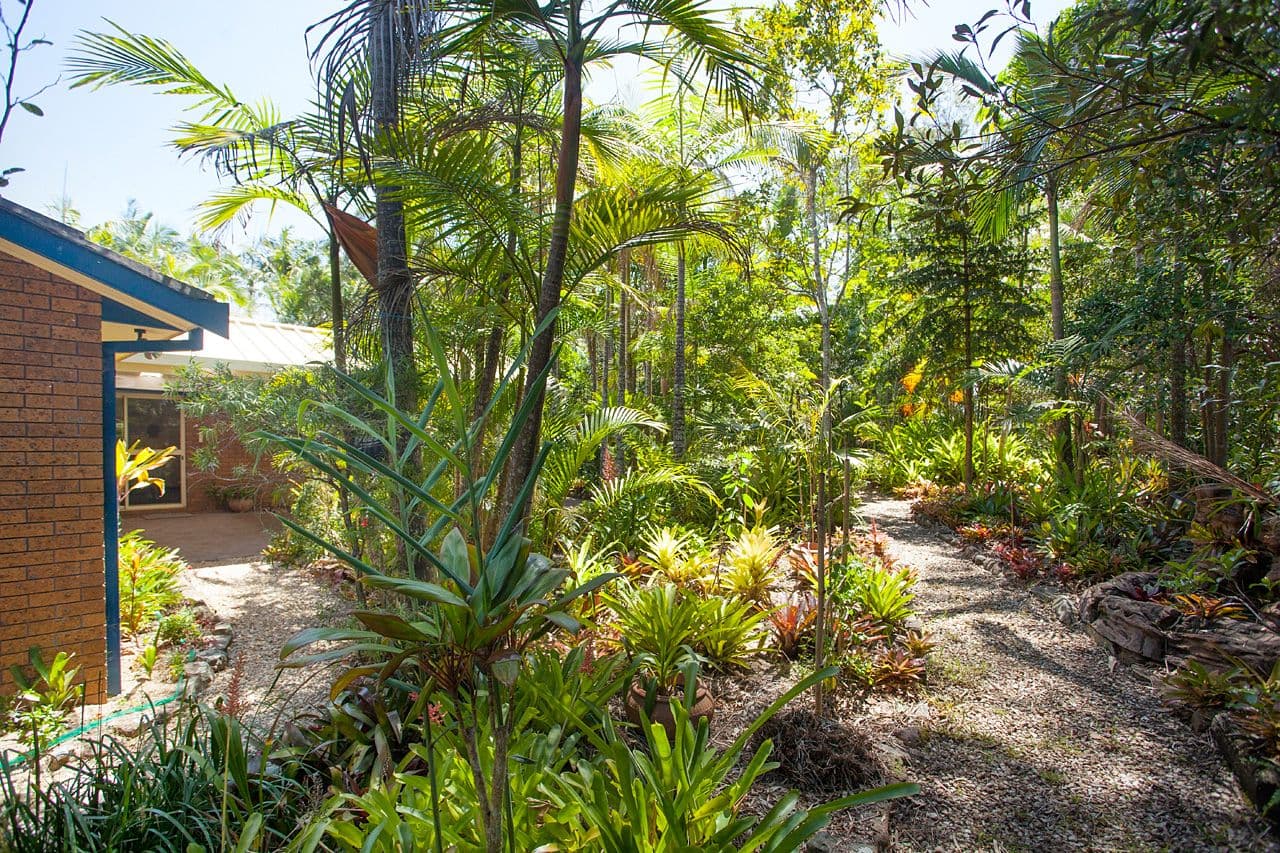 13 Allumba Close, Taree NSW 2430, Casino - Thumbnail 8