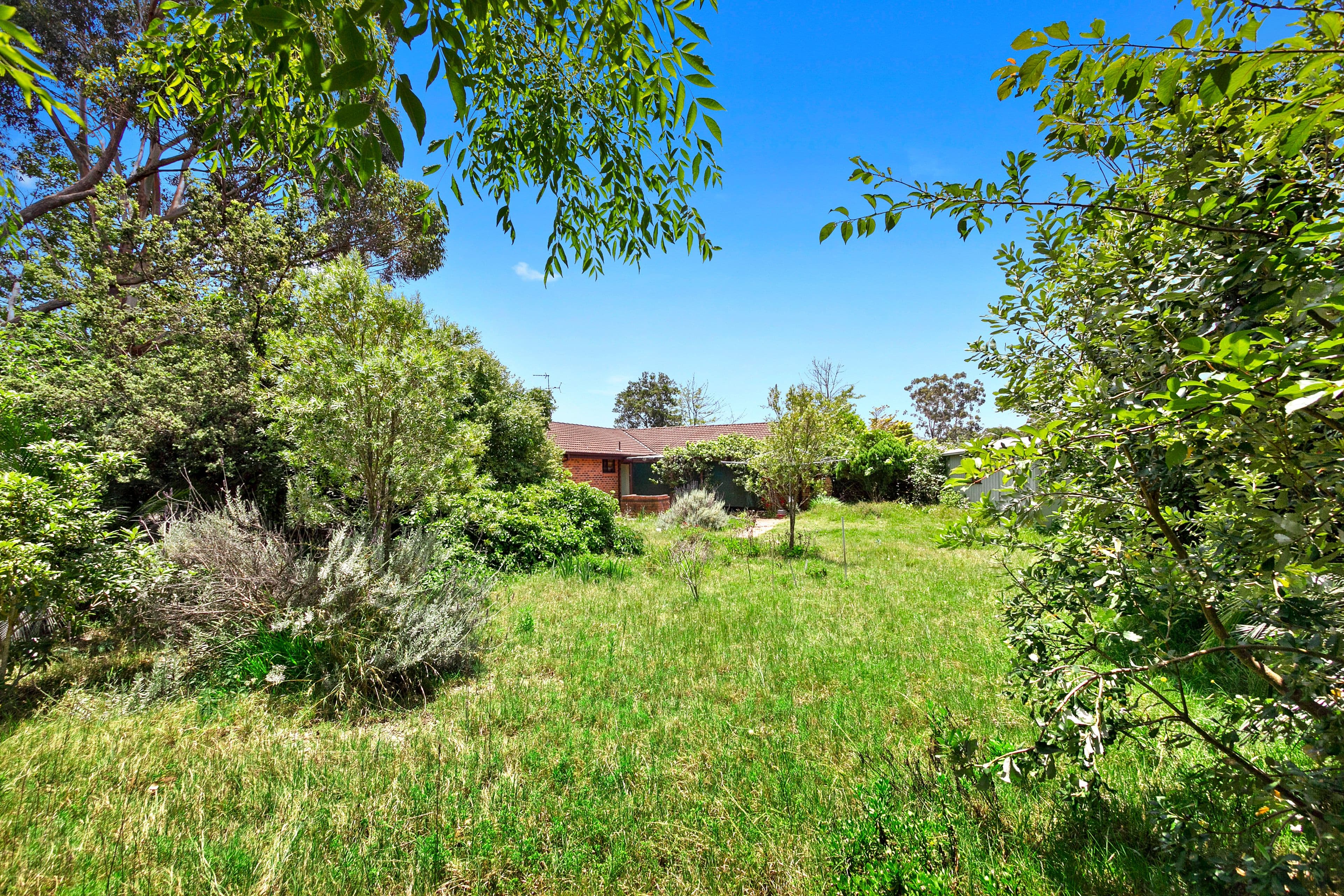 13 Zanthus Drive, Broulee - Thumbnail 4