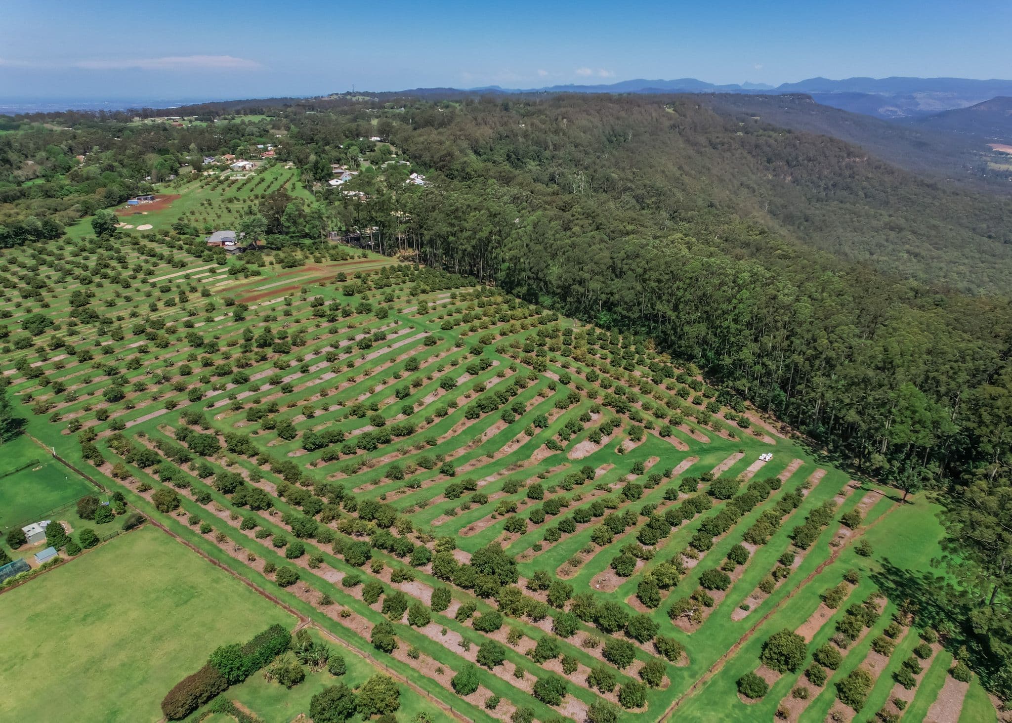 41-43 Manitzky Road, Tamborine Mountain QLD 4272, Tamborine Mountain - Image 1