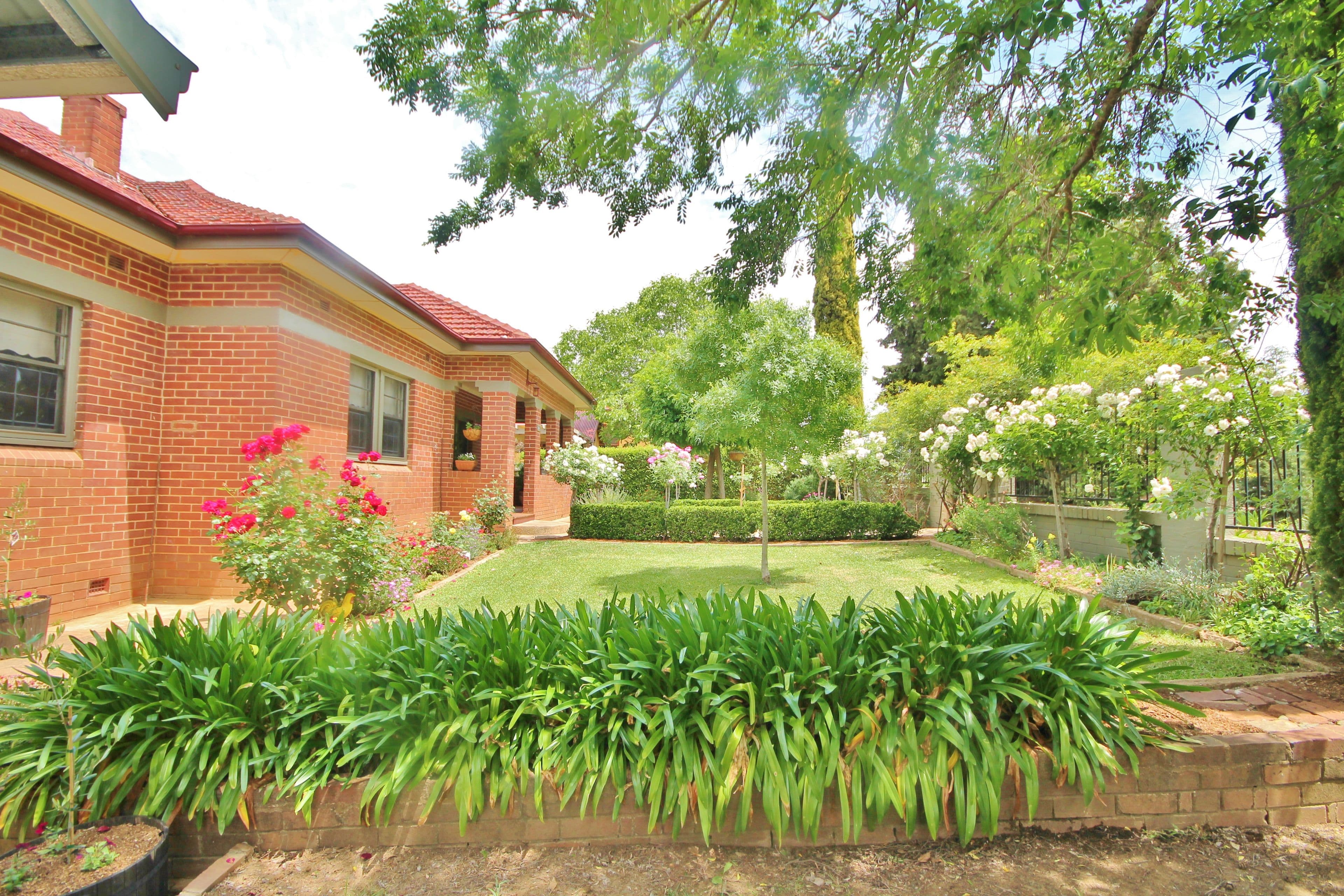 98 William Street, Young - Thumbnail 5