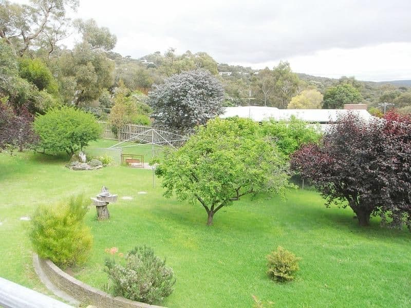 101 Noble  Street, Anglesea, VIC, Anglesea - Thumbnail 8