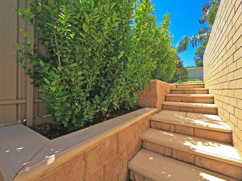 8 Pearl Court, HOPE VALLEY SA 5090, Hope Valley - Thumbnail 8