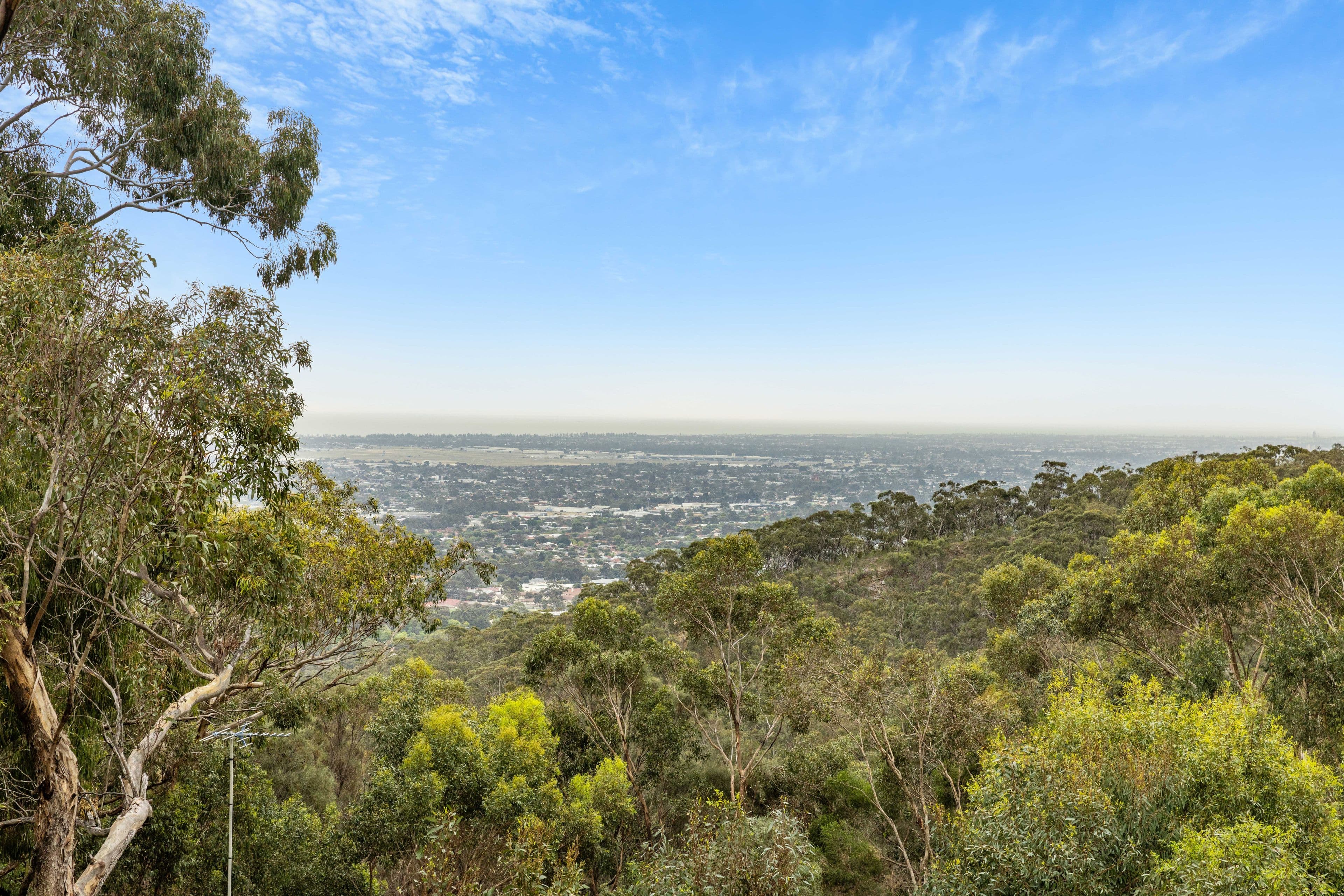 44B Hawker Avenue, Belair SA 5052, Belair - Thumbnail 7