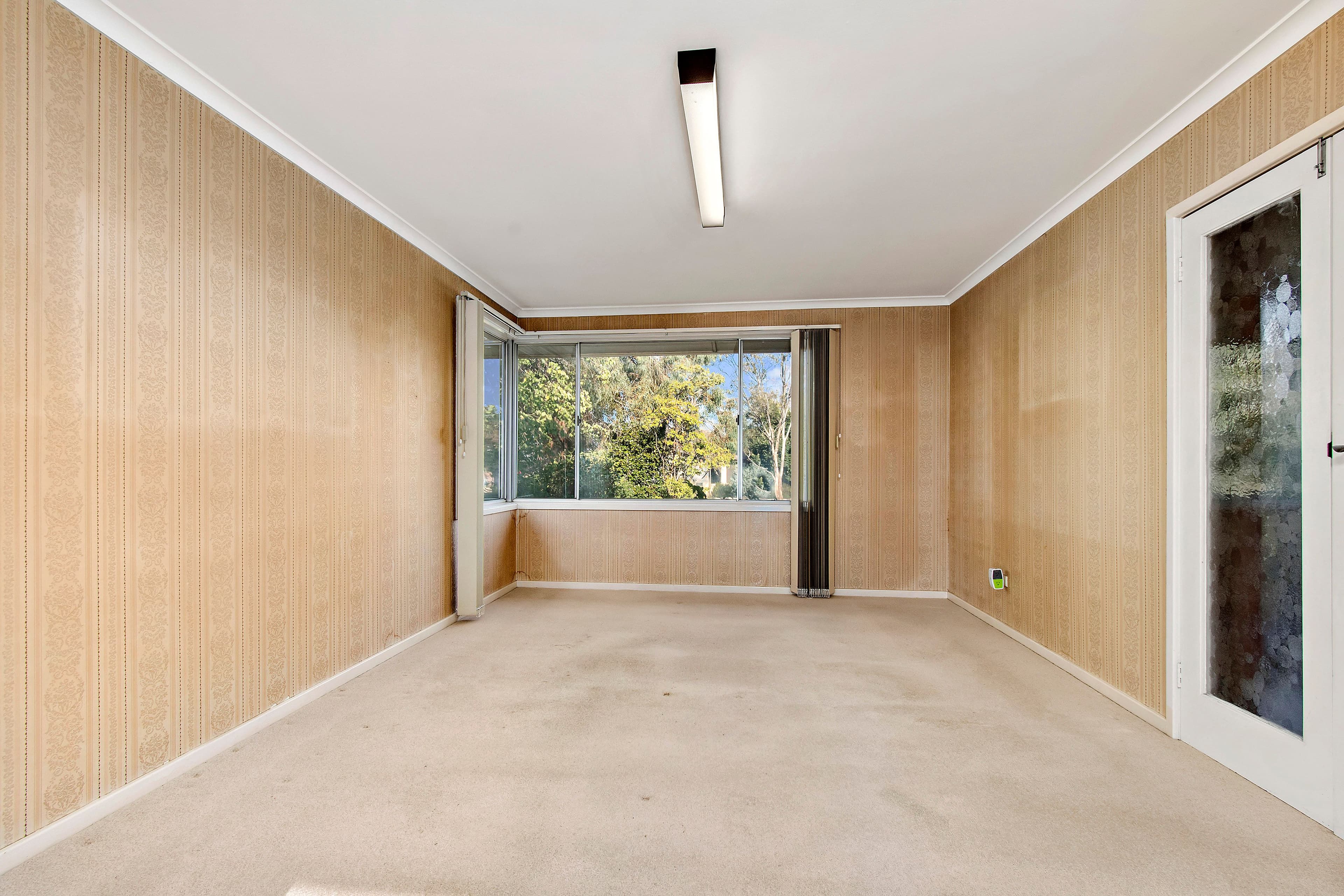 16 Nepean Place, Macquarie ACT 2614, Macquarie - Thumbnail 2
