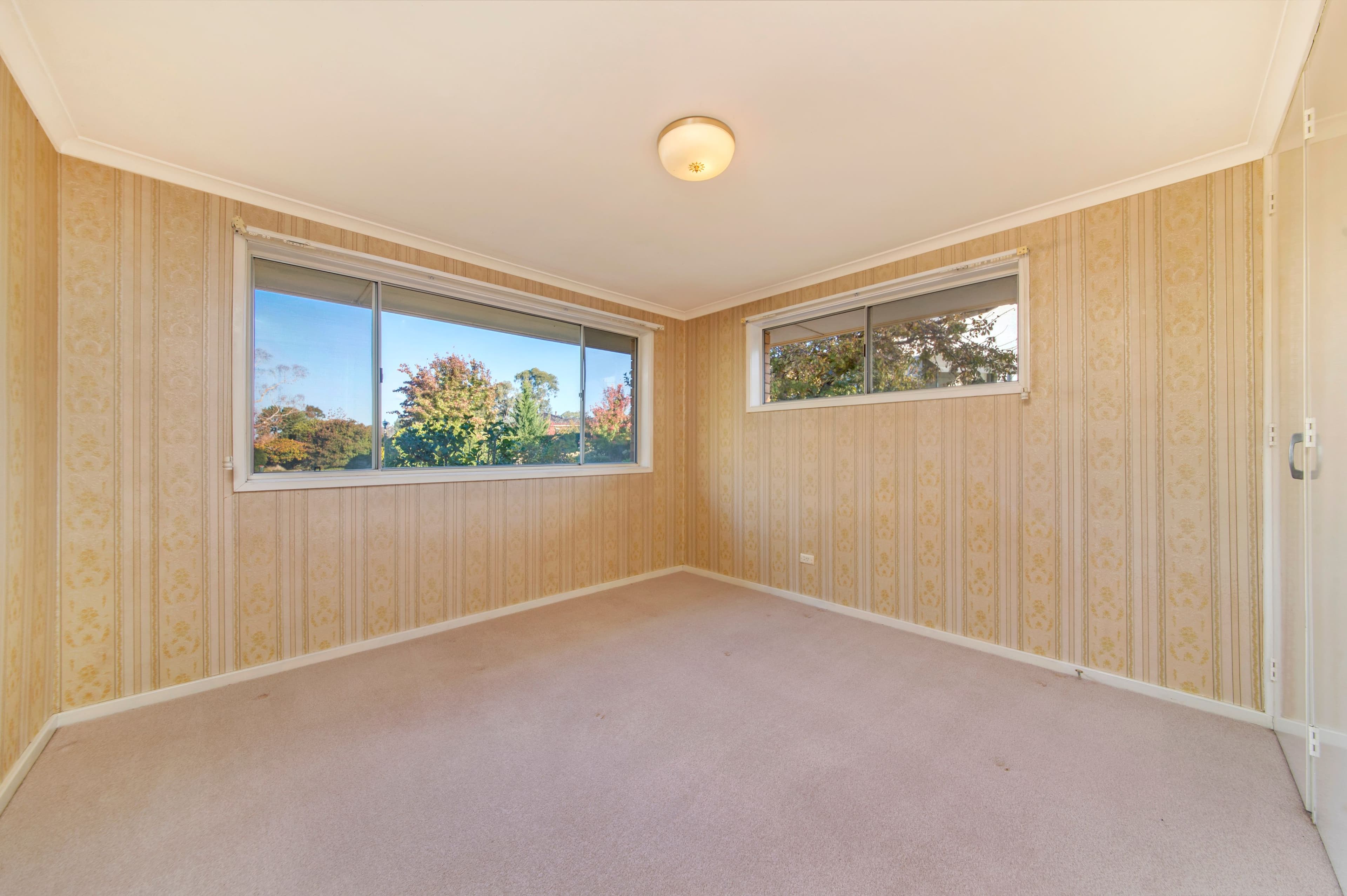16 Nepean Place, Macquarie ACT 2614, Macquarie - Thumbnail 5