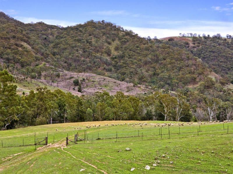 2504 Childowla, Bookham NSW 2582, Bookham - Thumbnail 4