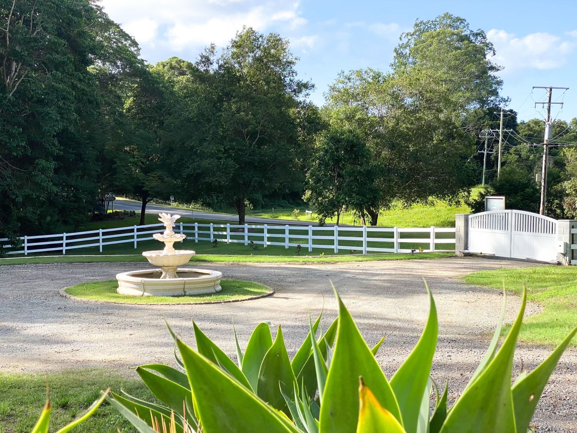 4 Benzara Lane, Mooloolah Valley QLD 4553, Mooloolah Valley - Thumbnail 4