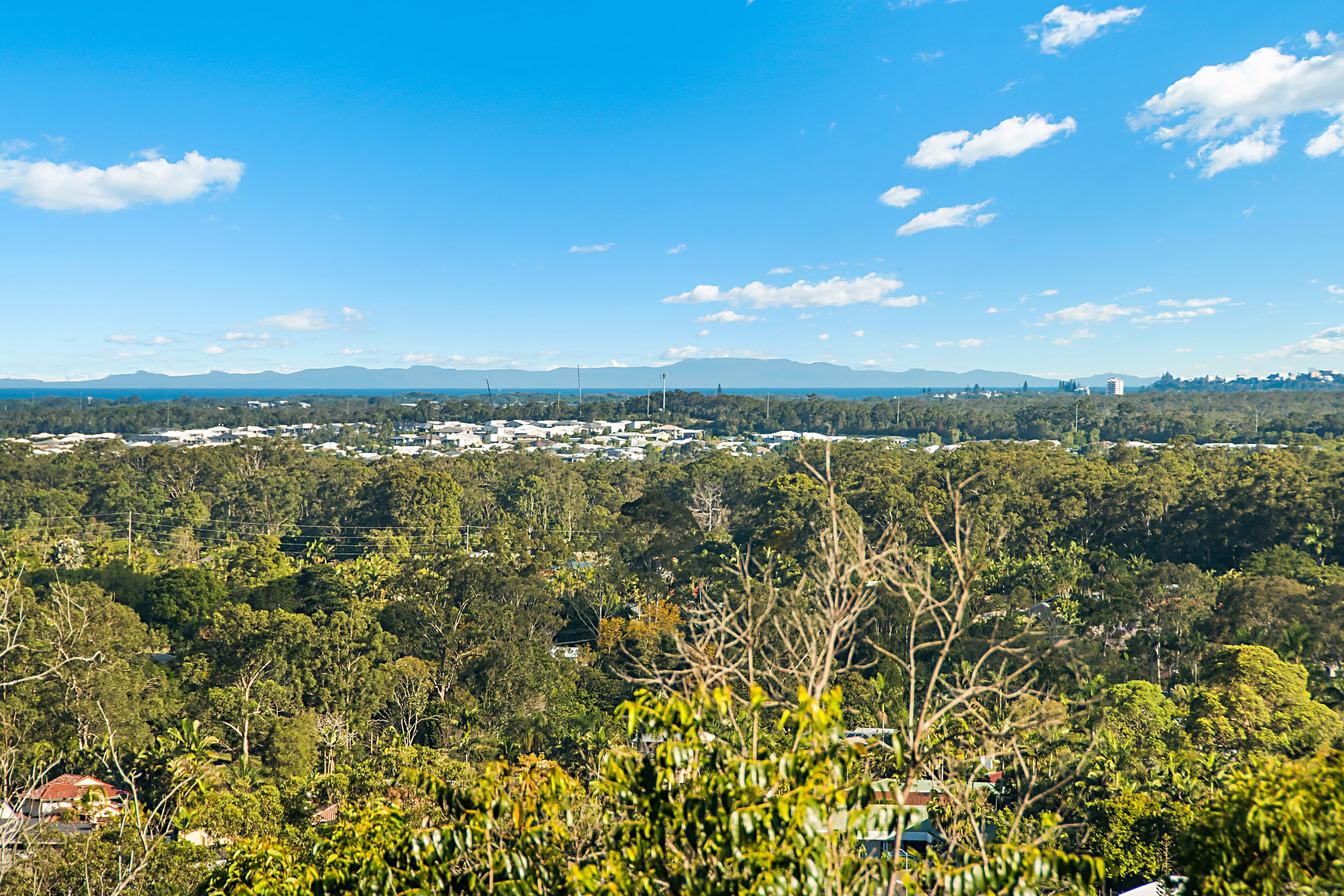 278 Mooloolaba Road, Buderim QLD 4556, Buderim - Thumbnail 7
