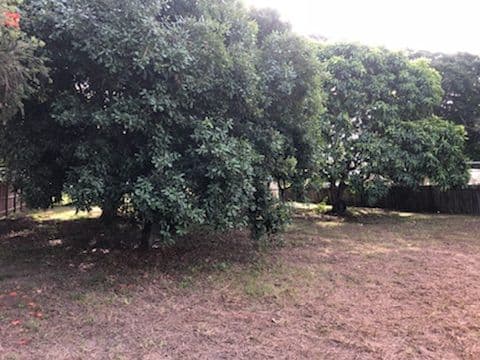 58 Odessa Street, Granville QLD 4650, Granville - Thumbnail 7