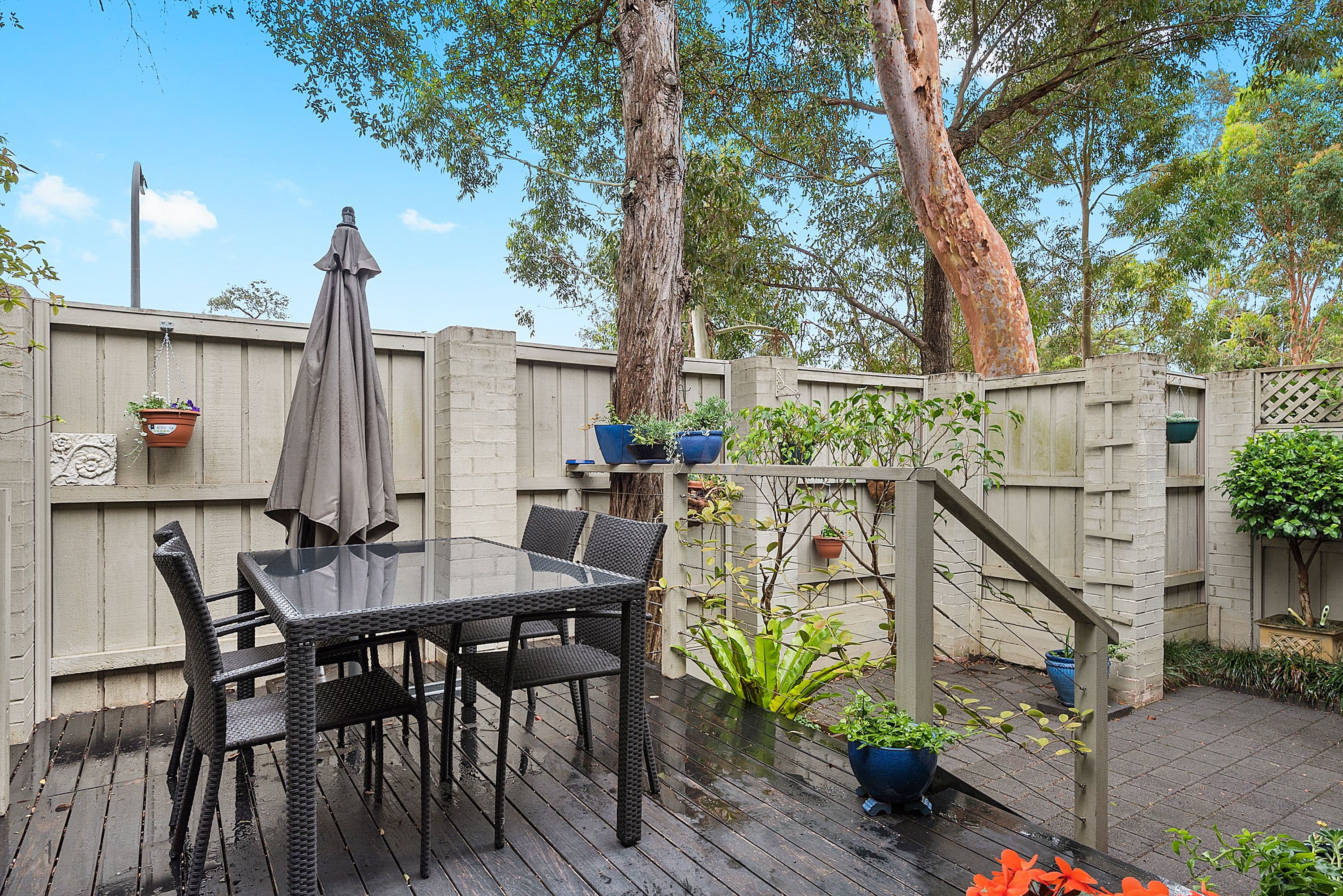 124 Shepherds Drive, Cherrybrook NSW 2126, Cherrybrook - Thumbnail 8