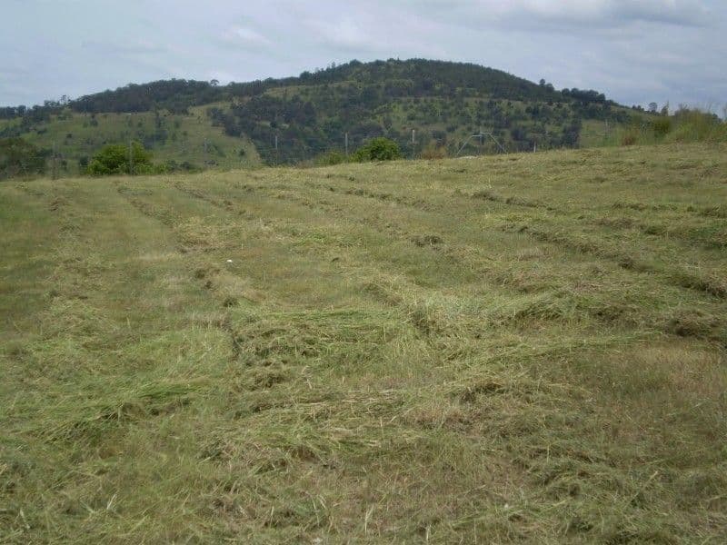 LOWOOD QLD 4311, Lowood - Thumbnail 2