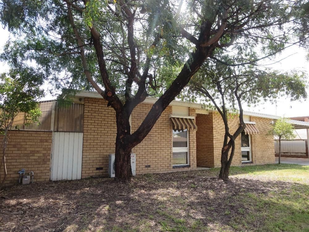 567 Prune Street, Lavington - Image 1