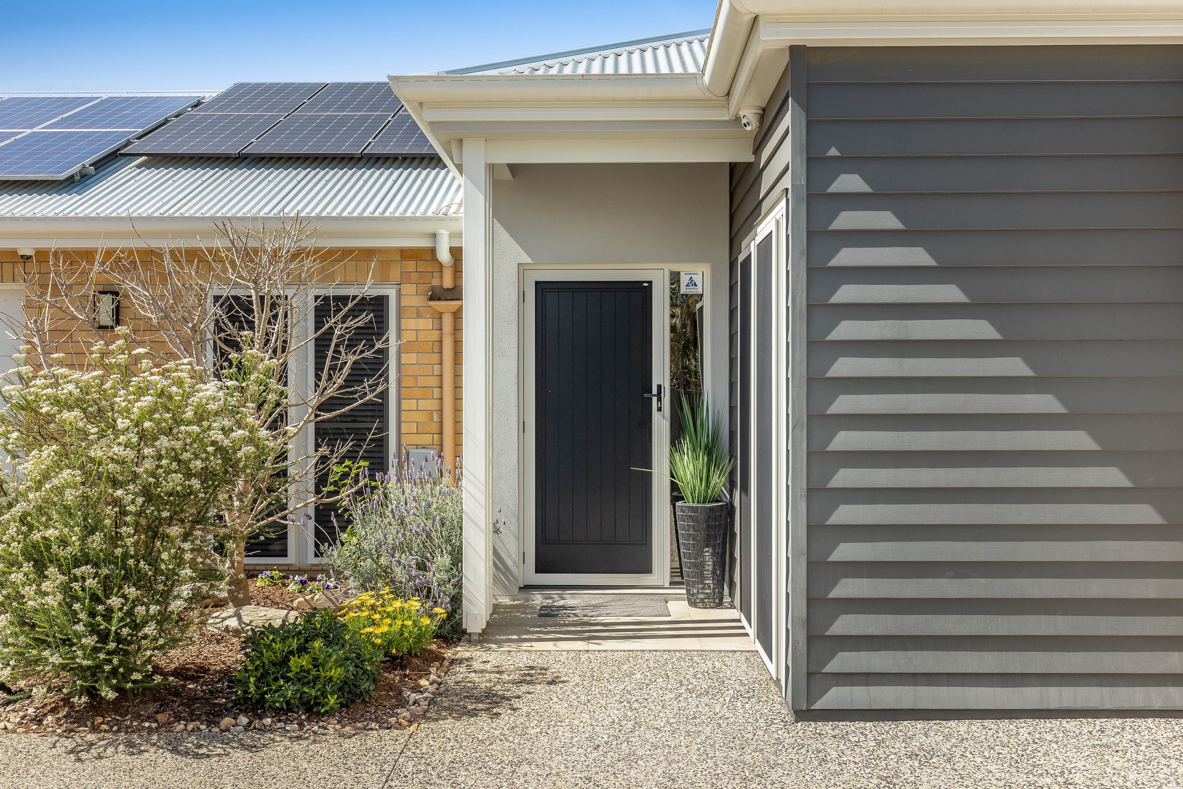 36 Parsons Street, Rangeville QLD 4350, Rangeville - Thumbnail 3