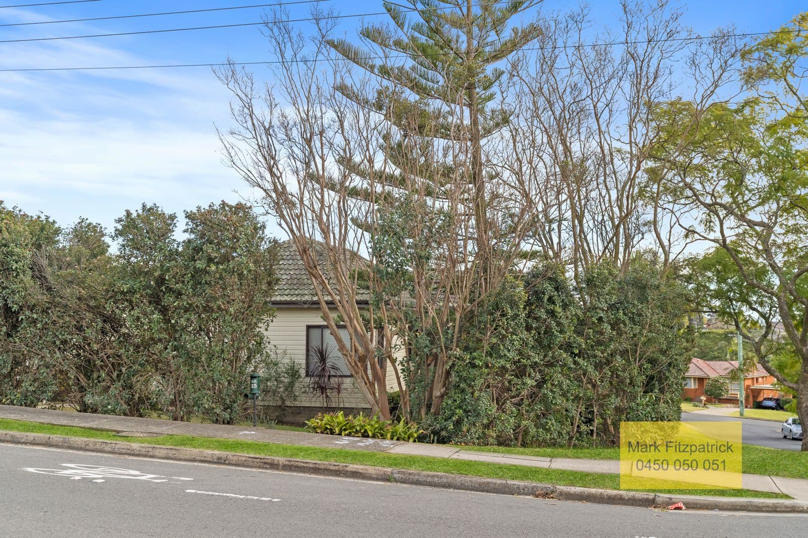 125 Waminda Avenue, Campbelltown NSW 2560, Campbelltown - Thumbnail 2