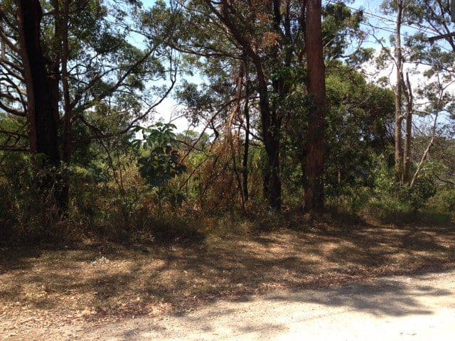 5 Taylor Street, RUSSELL ISLAND QLD 4184, Russell Island - Thumbnail 4