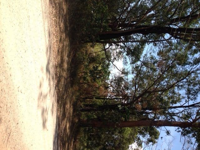 5 Taylor Street, RUSSELL ISLAND QLD 4184, Russell Island - Thumbnail 5