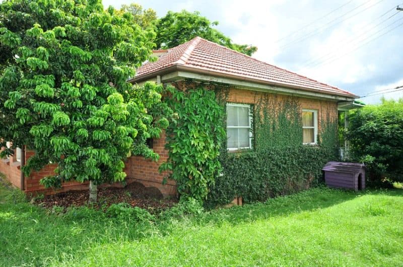163  Ardoyne Road, OXLEY QLD 4075, Oxley - Thumbnail 5