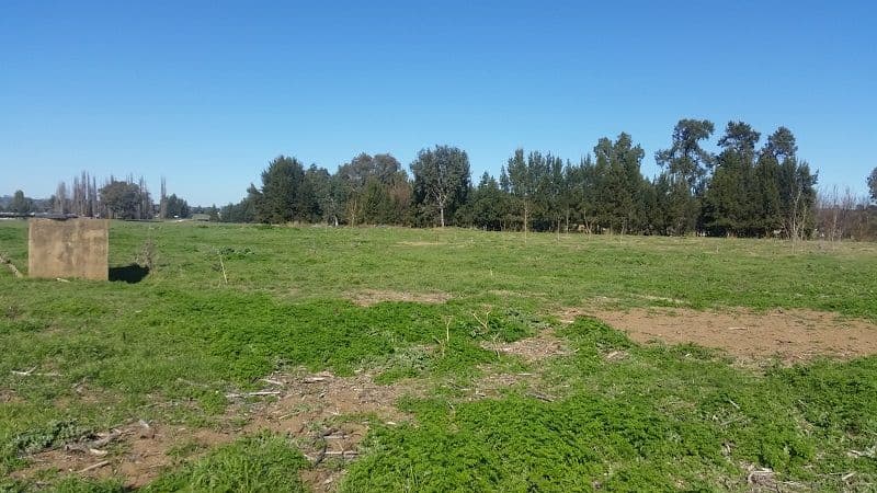 Lot 3 Icely Road, Canowindra NSW 2804, Canowindra - Image 1