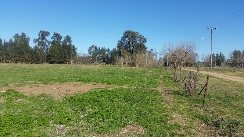 Lot 3 Icely Road, Canowindra NSW 2804, Canowindra - Thumbnail 3