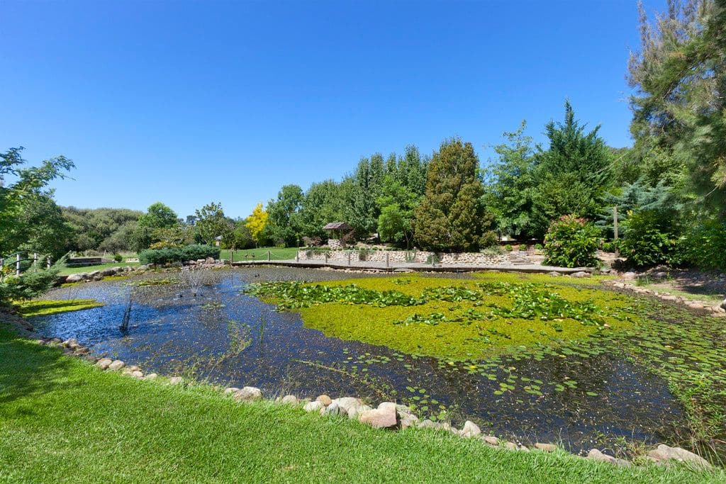 6 Thomas Close, Berry NSW 2535, Berry - Thumbnail 2