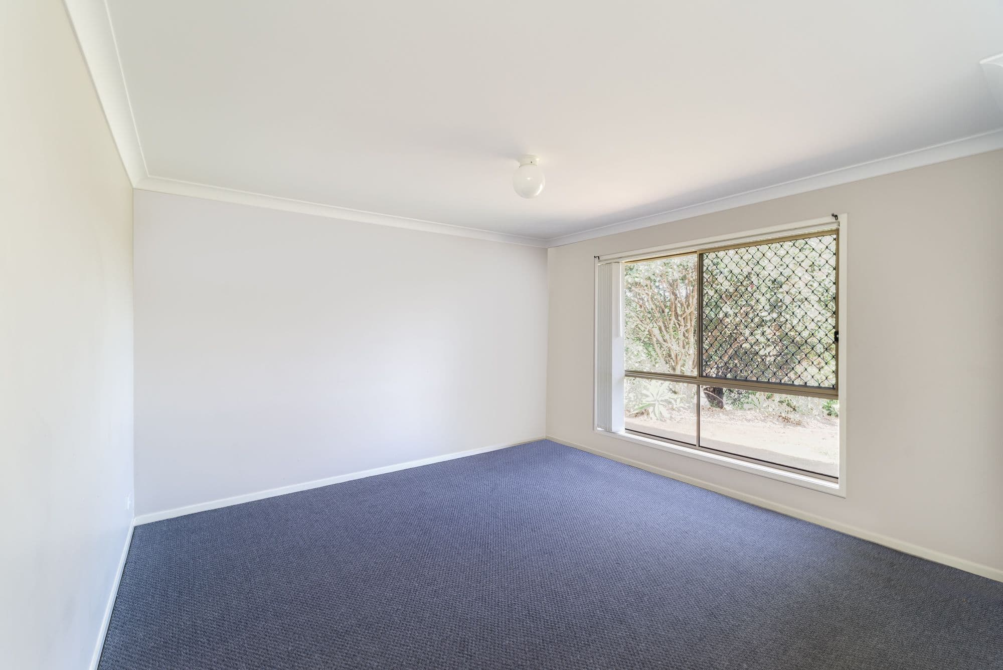 75 Tequesta Drive, Beaudesert QLD 4285, Beaudesert - Thumbnail 4