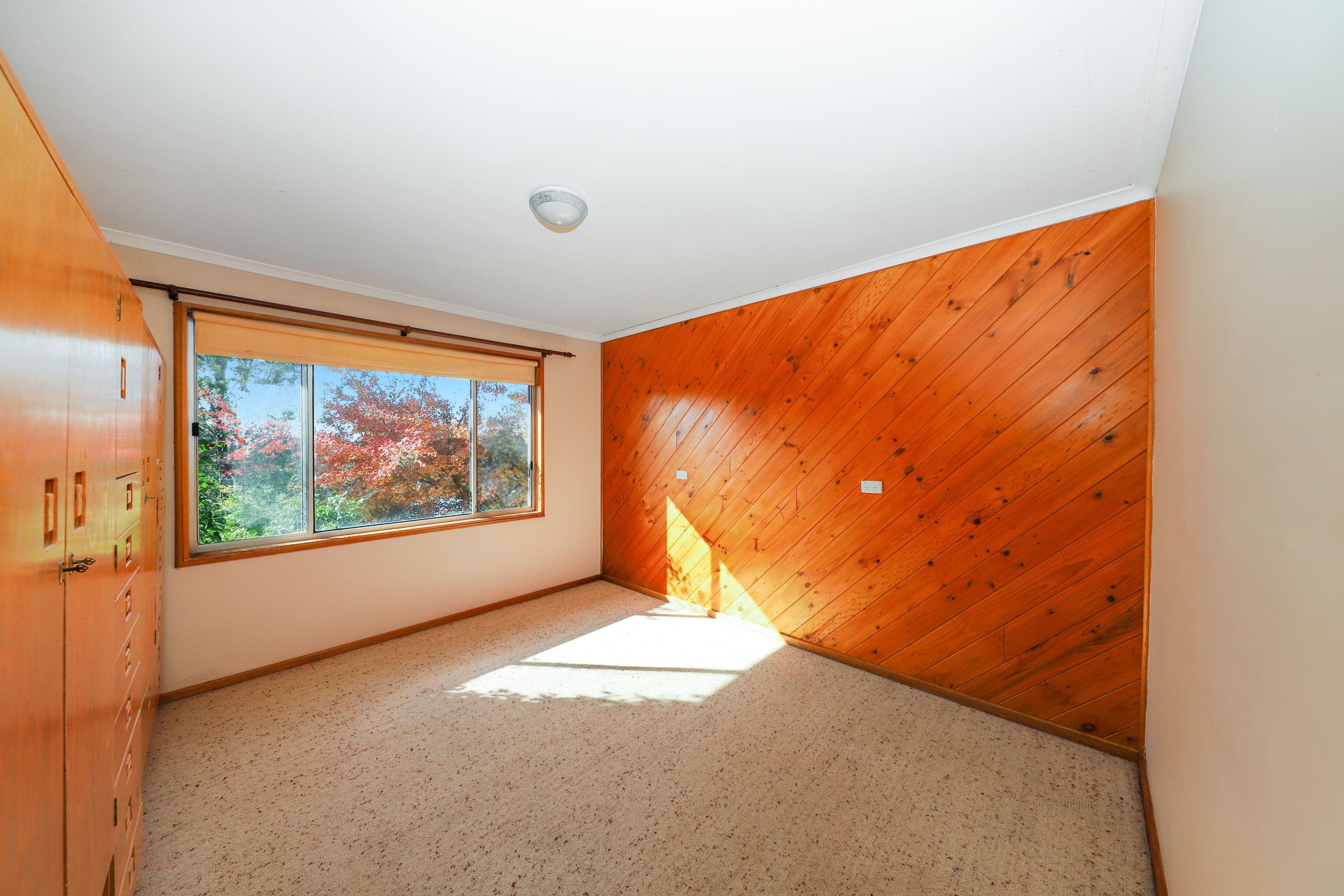 14 Bartlett Street, Batlow NSW 2730, Batlow - Thumbnail 8