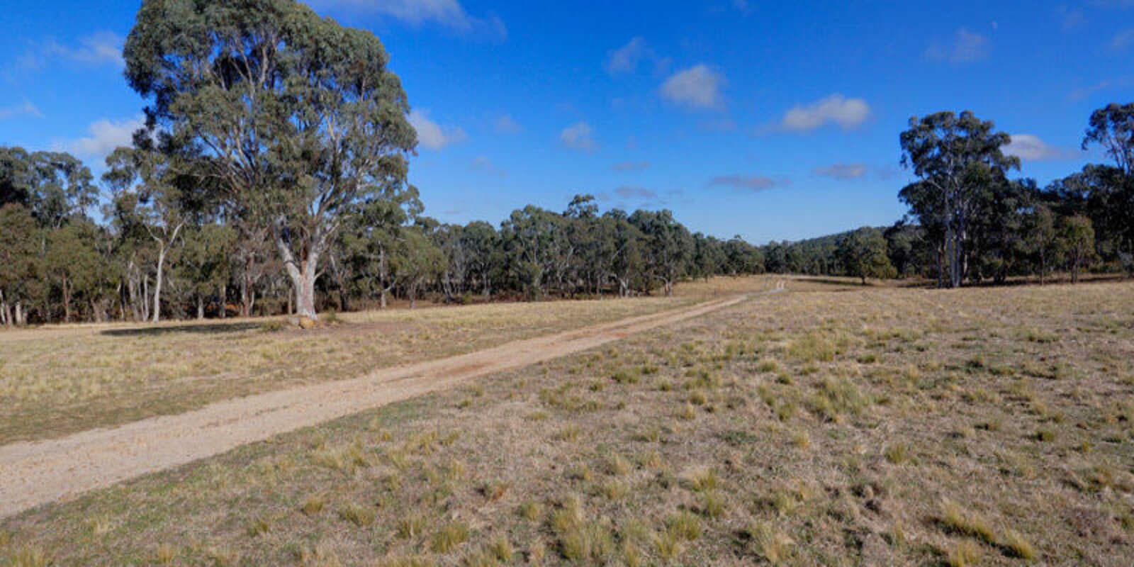 109 Eucalypt Lane High Range, Range - Thumbnail 4