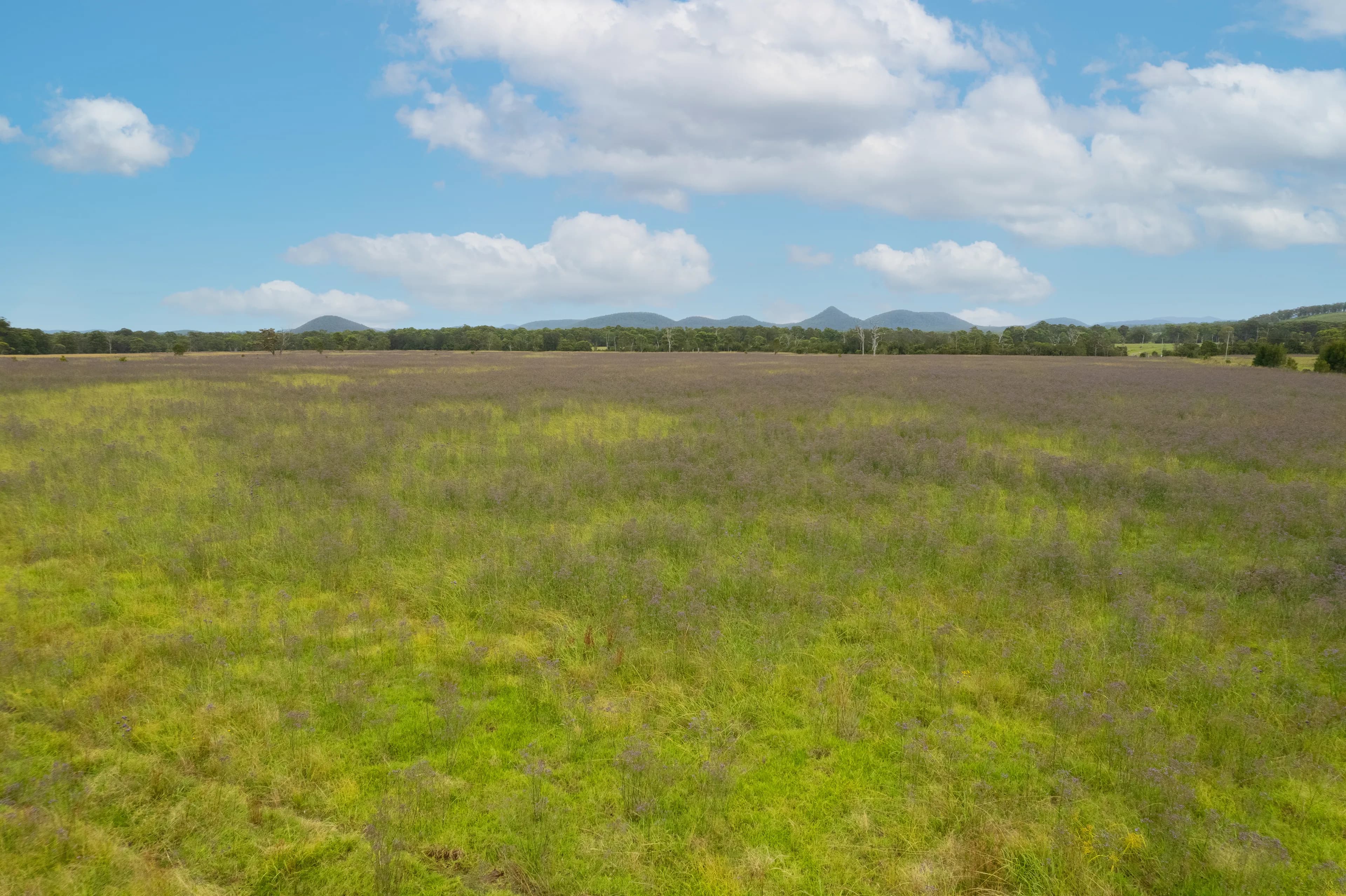 Lot 9 Gunjula Drive, The Branch NSW 2425, The Branch - Thumbnail 7