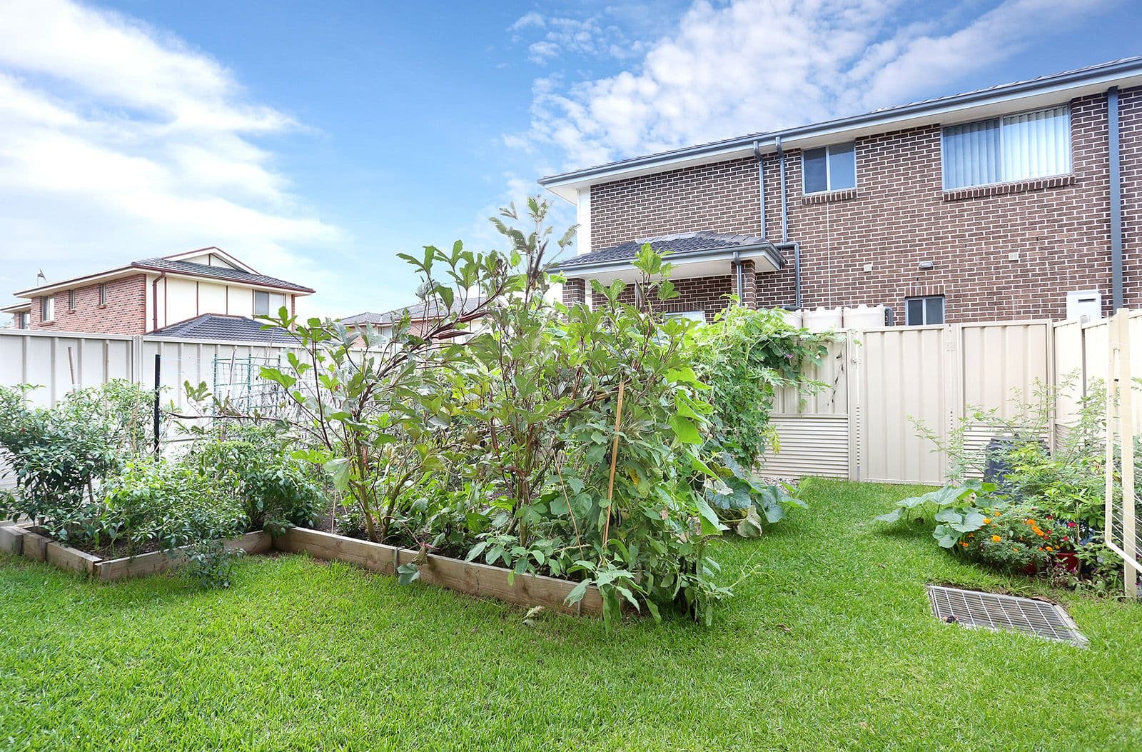 12 Blenheim Avenue, Rooty Hill NSW 2766, Rooty Hill - Thumbnail 8