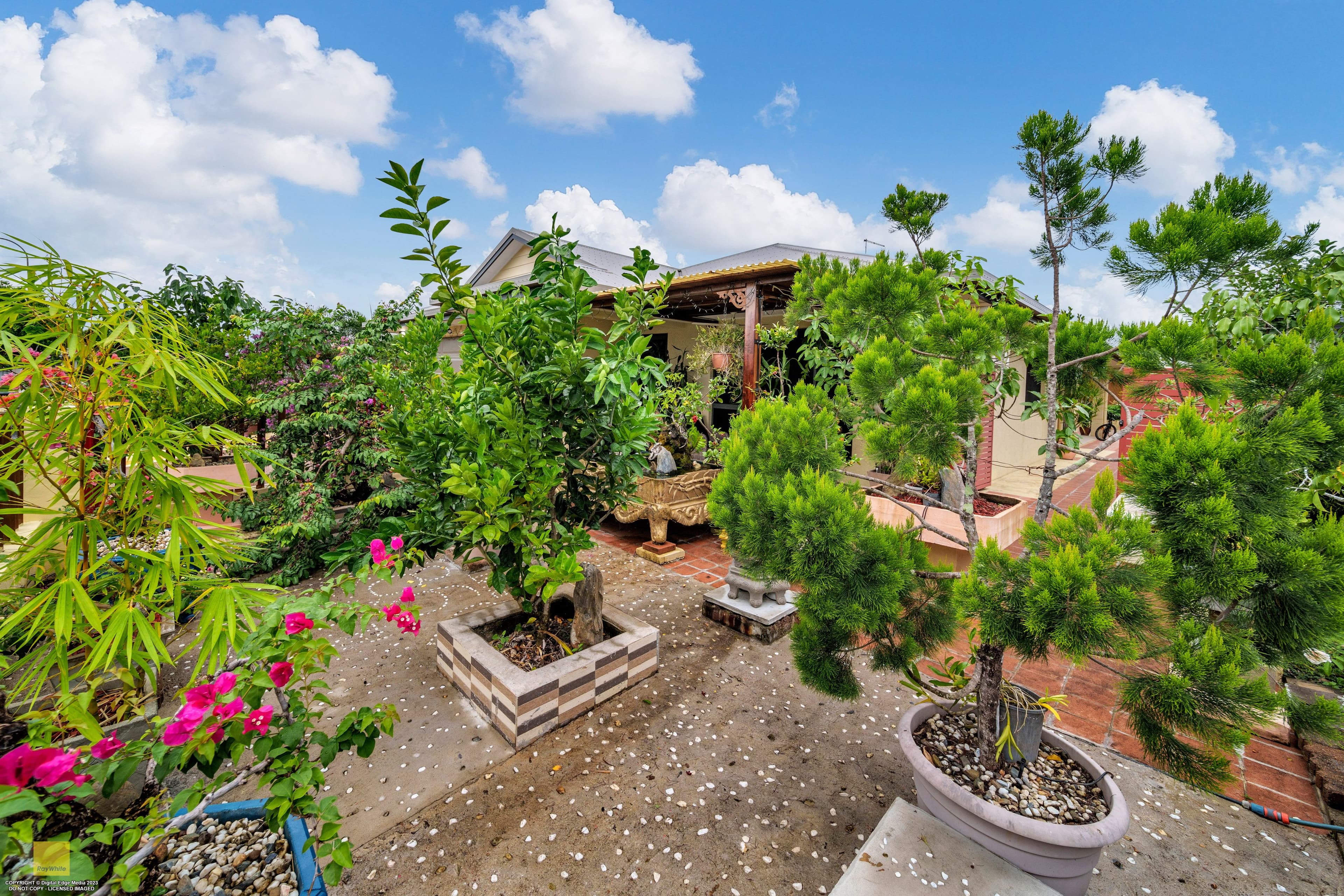 7 Frank Street, Redlynch QLD 4870, Redlynch - Thumbnail 7