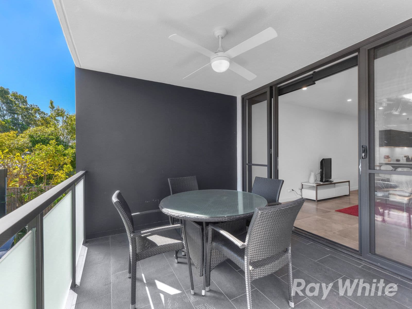 16 Camborne Street, Alderley QLD 4051, Alderley - Thumbnail 3