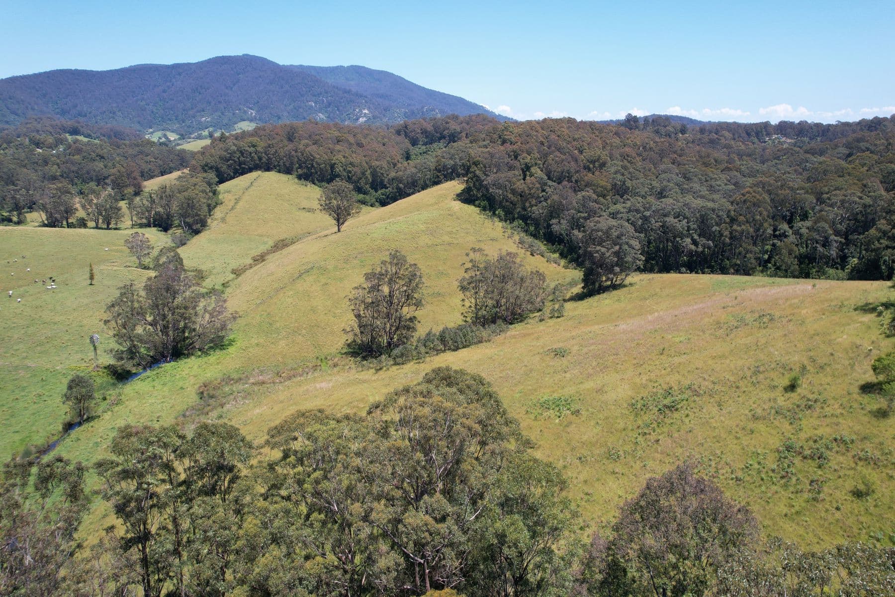 984 Old Highway, Narooma, Narooma - Thumbnail 2